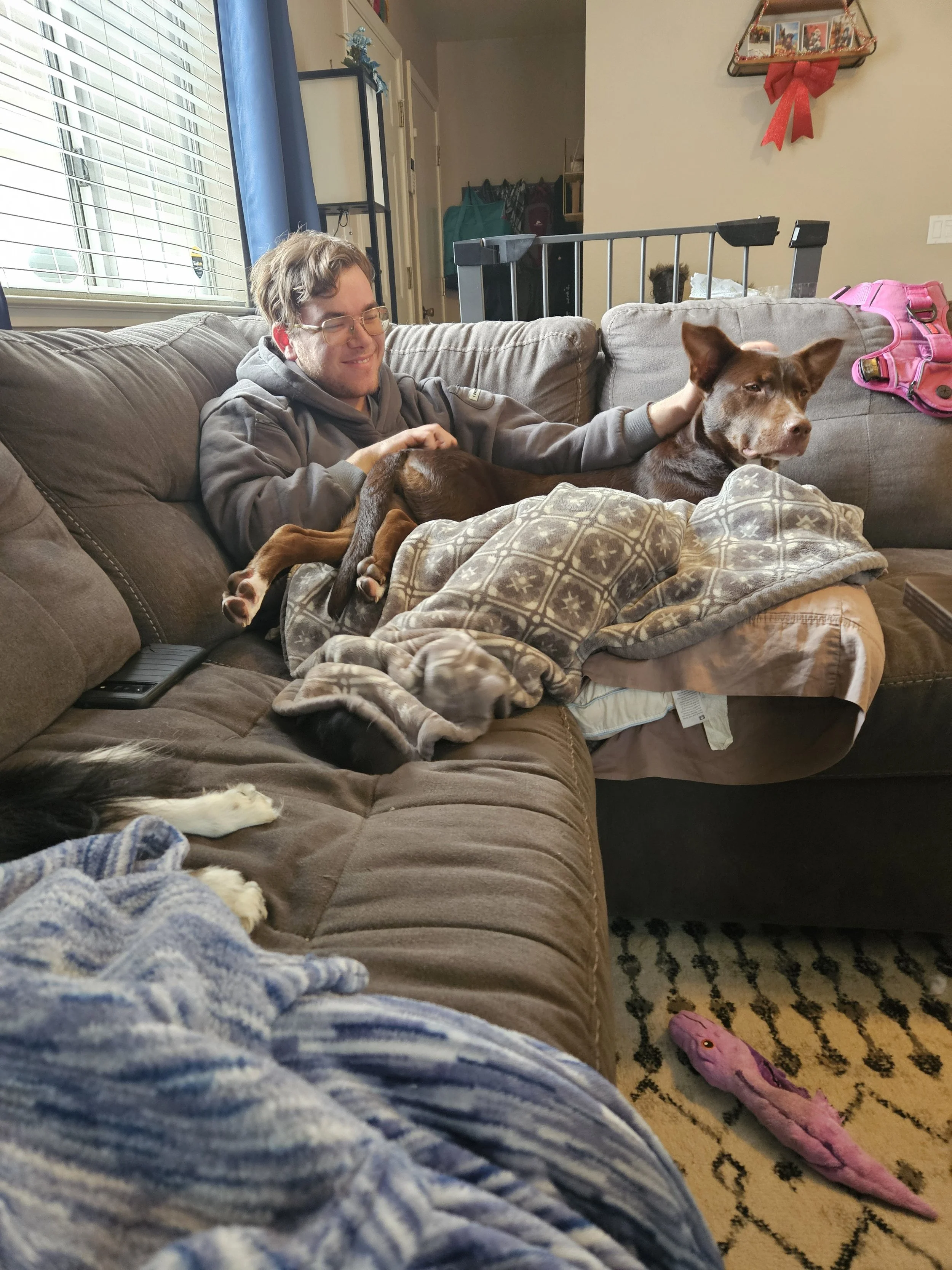 A young man with glasses sitting on a brown sectional sofa, smiling and petting a brown dog. The dog is lying on the young man's lap, partially covered with a blanket. In the foreground, part of another dog's paw is visible, and on the floor, there's