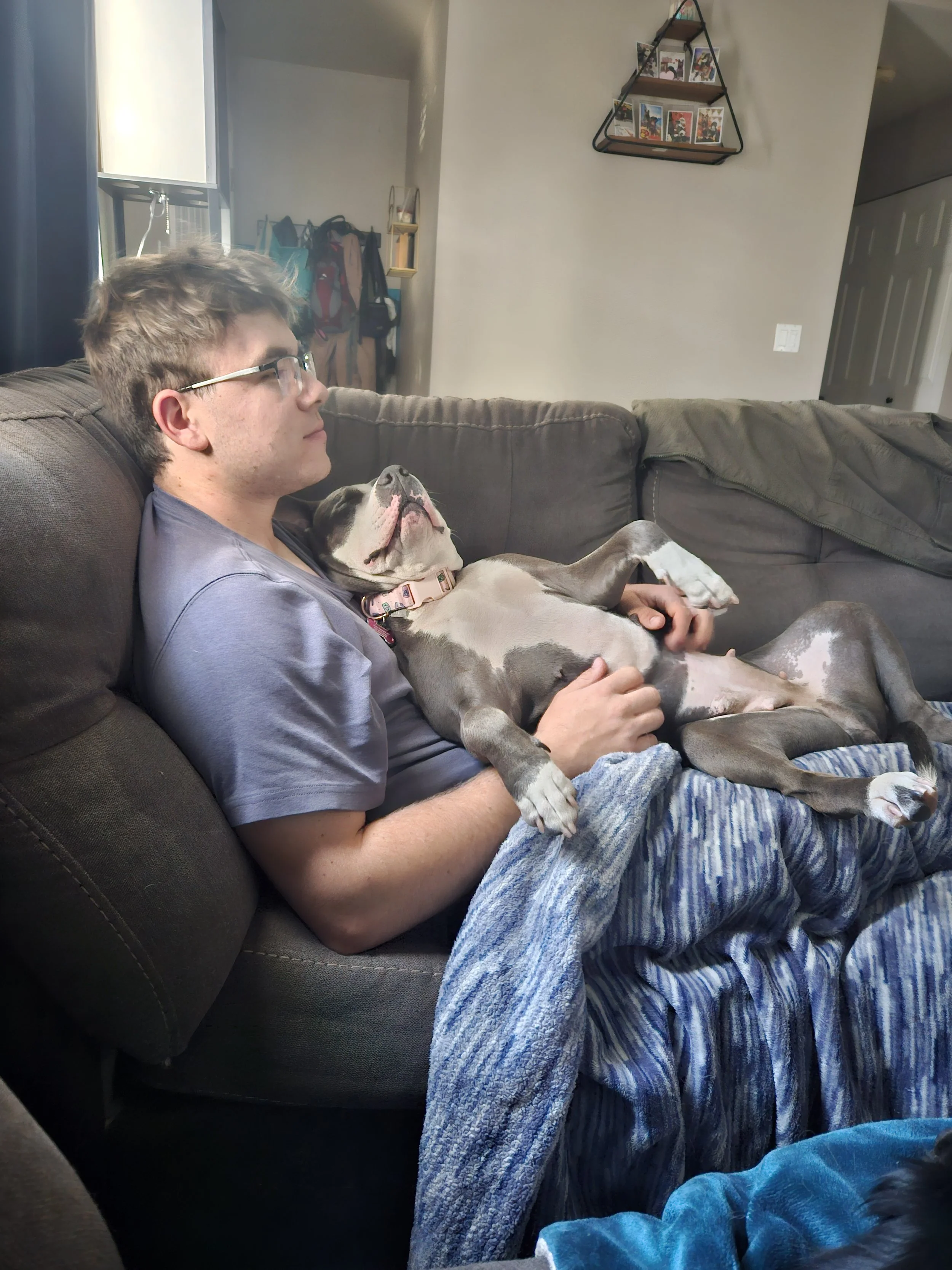 A young man with glasses relaxing on a sofa with a gray and white dog lying on his chest.
