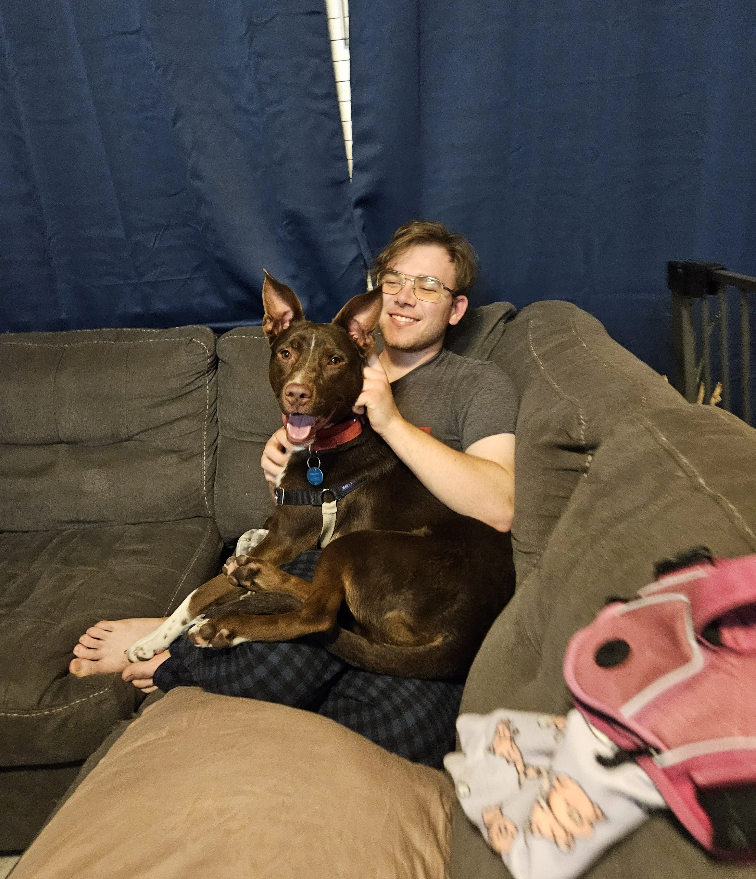 A young man with glasses sitting on a brown couch, smiling, while holding a brown dog with pointy ears and a red collar. The dog is sitting on the man's lap with its tongue out. There's a pink and black bag and a cloth with pigs on it on the armrest 