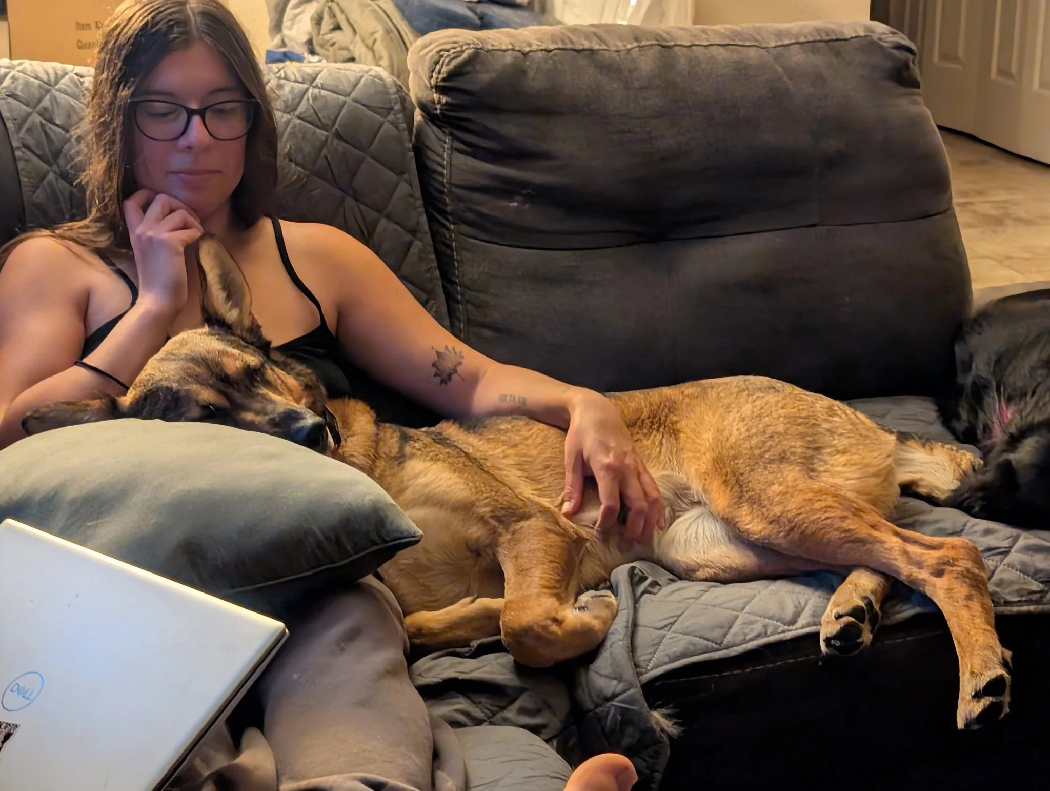 A woman with glasses and tattoos relaxing on a couch, lying next to two dogs, one a brown dog sleeping with her head on a pillow, and another black dog lying on the floor nearby.