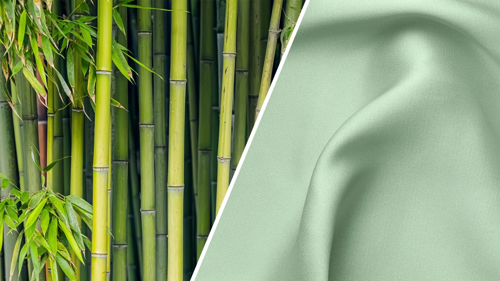 Myth: If it's Made from Bamboo, it's Sustainable