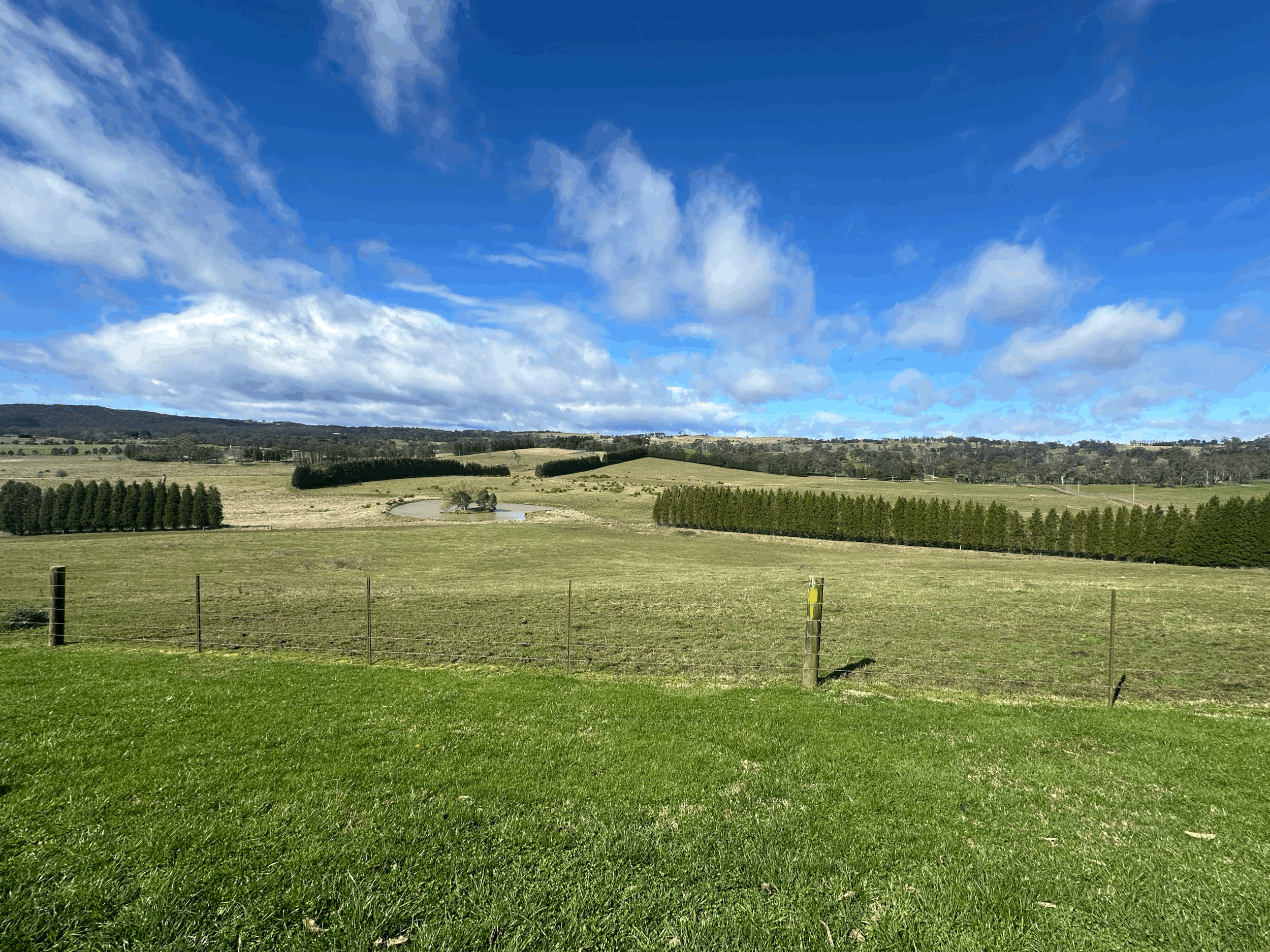 Reconnecting the Mind and Body After Trauma: How Trauma-Informed Yoga Can Support Healing