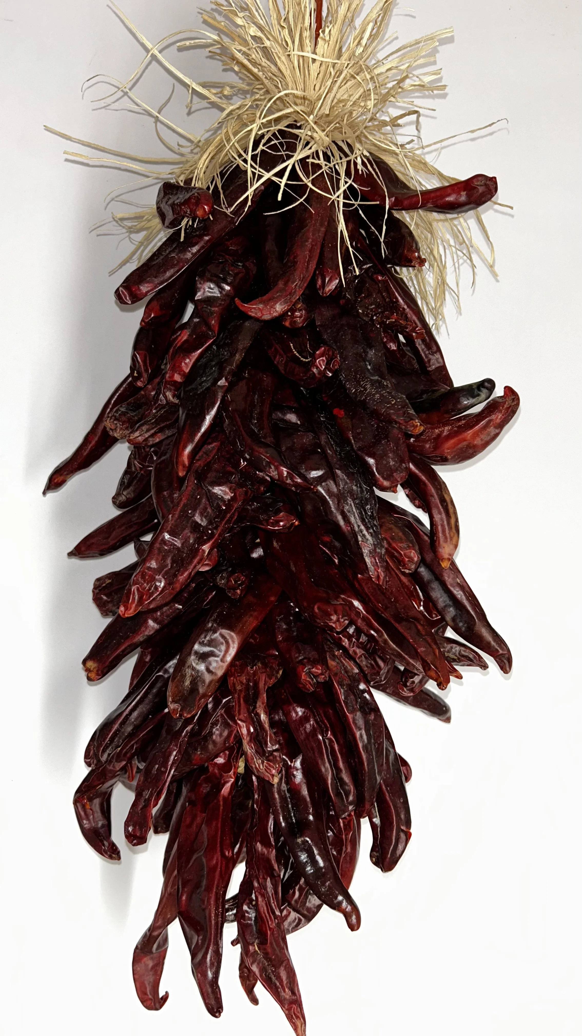 A bunch of dried red chili peppers bundled together with straw.
