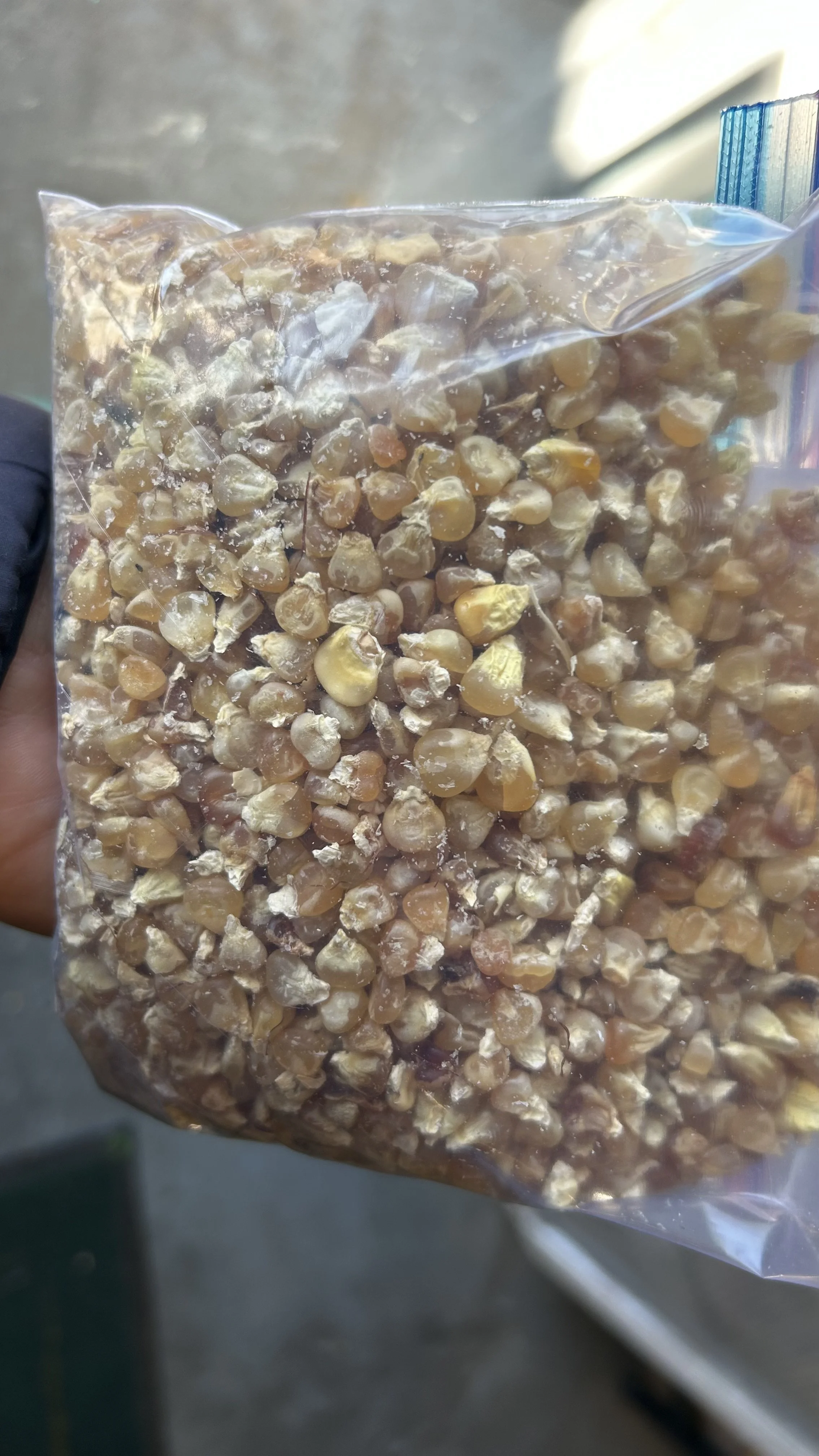 Dried crush corn (Chicos)