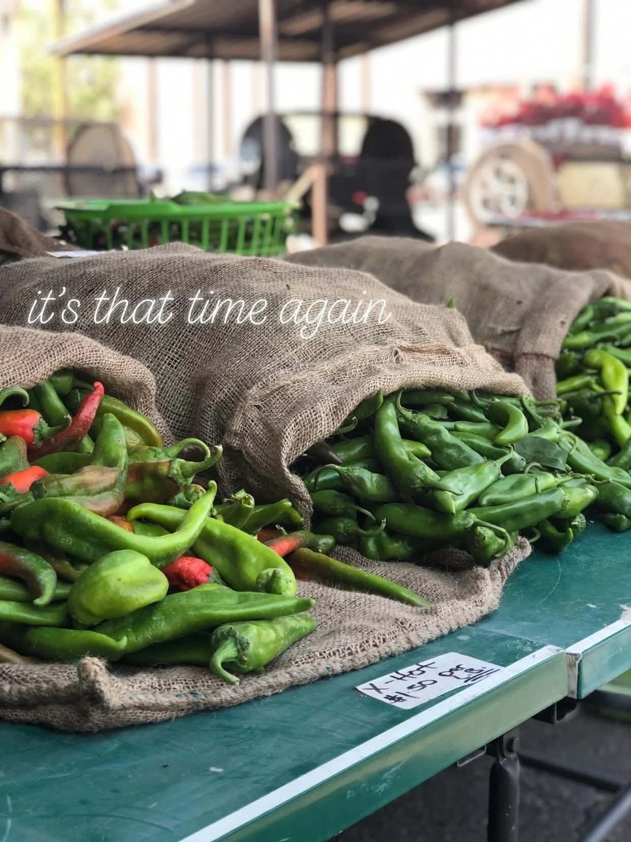 A display of fresh green and red chili peppers in burlap sacks at an outdoor market, with blurred background of market stalls and a car. The text 'it's that time again' is overlaid on the image.