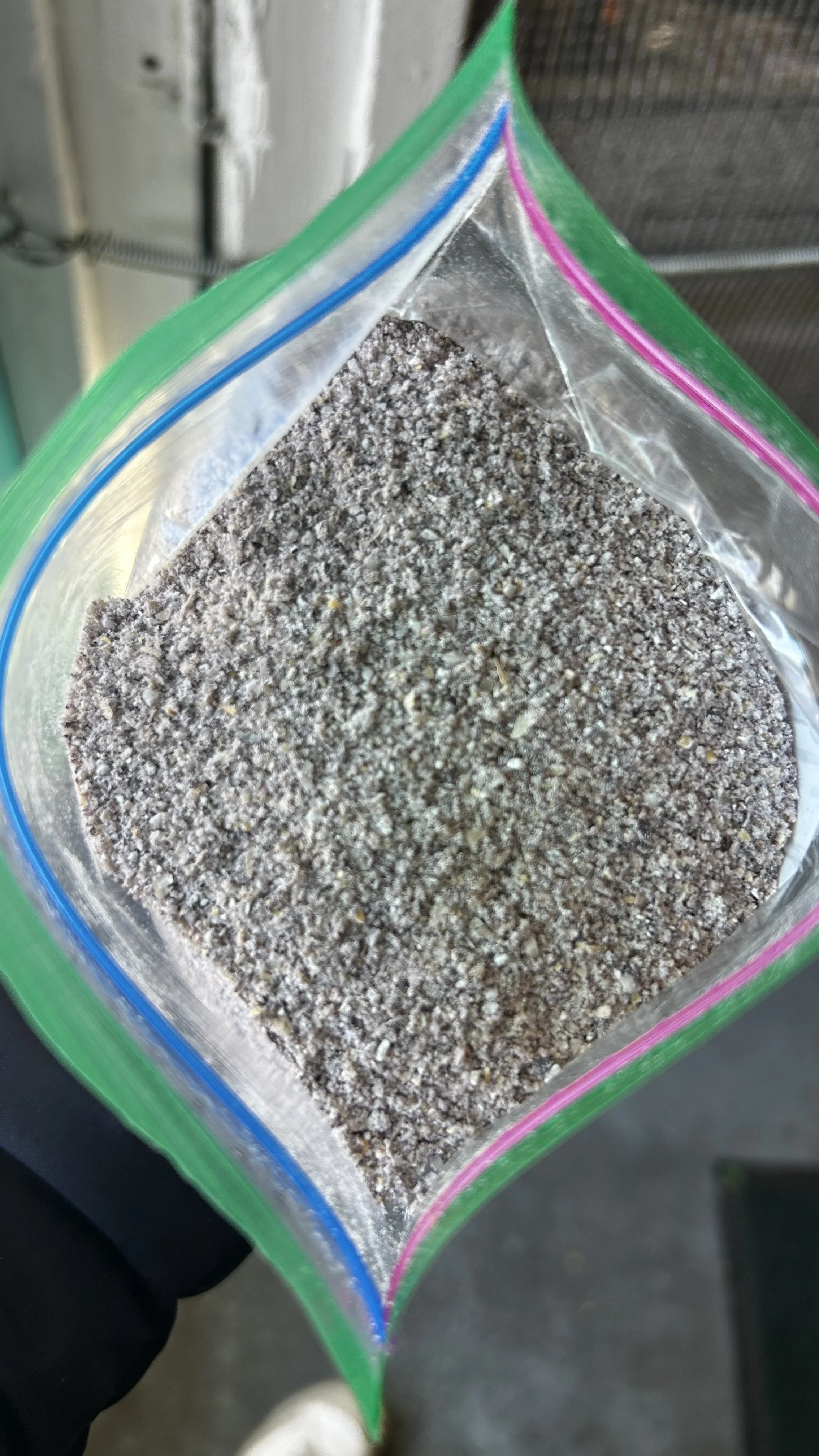 Roasted Blue Corn Atole