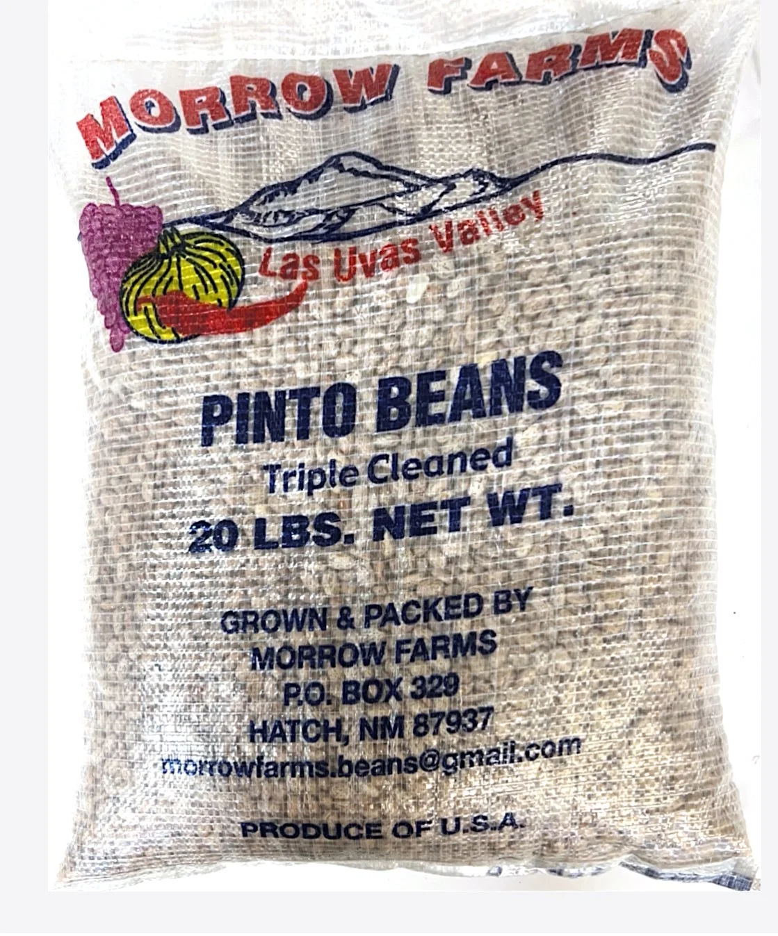 Pinto Beans