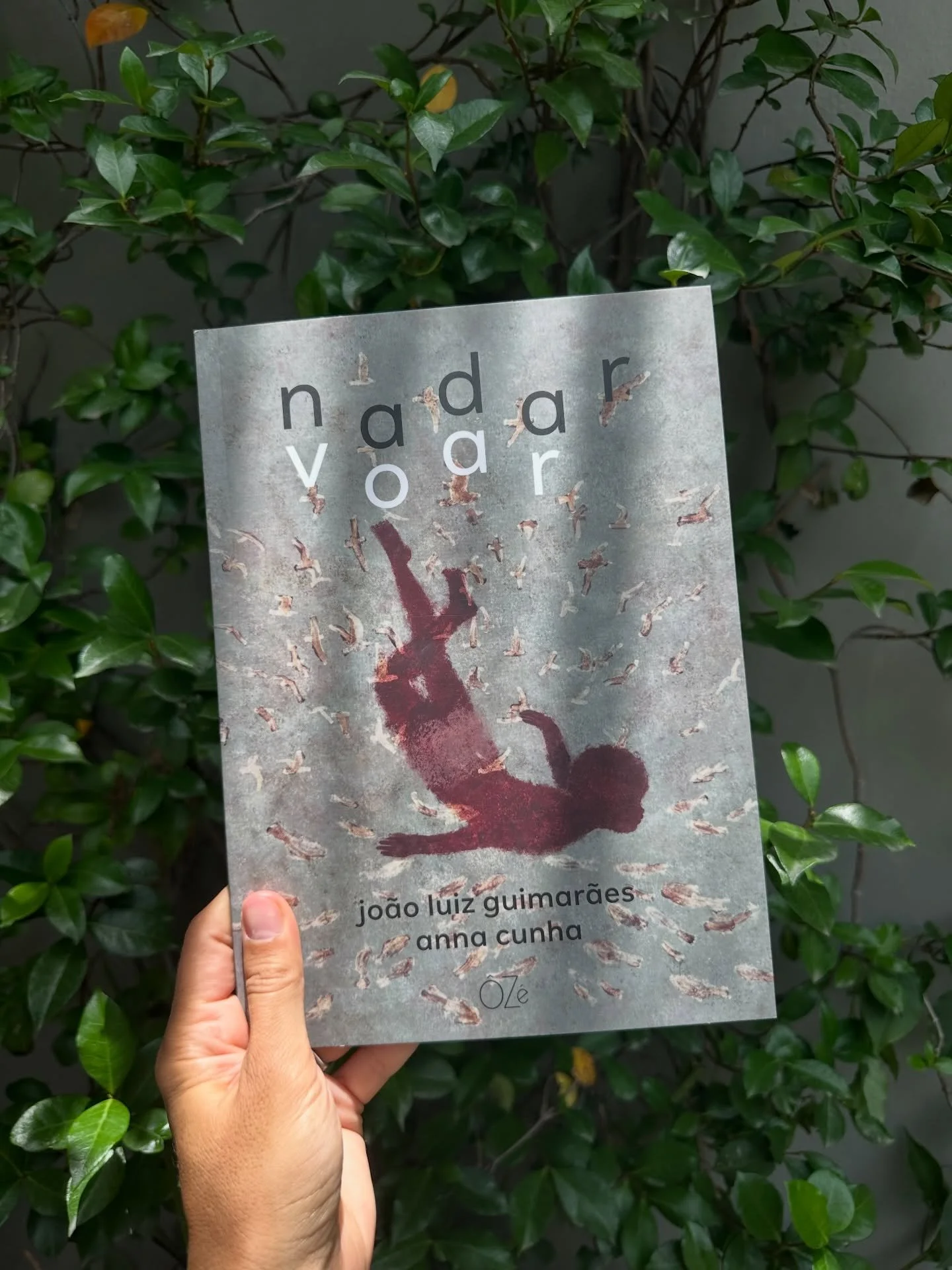 Nadar Voar &bull; &bull; &bull; a meditation on the delicate dance of existence. Each time I read its pages, letting my eyes float through the dreamlike illustrations, I experienced something different. My stomach floating and flying in a visceral jo