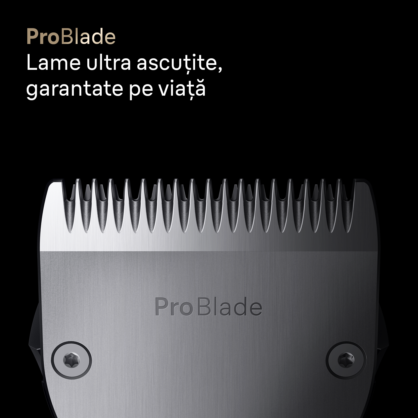 problade.png