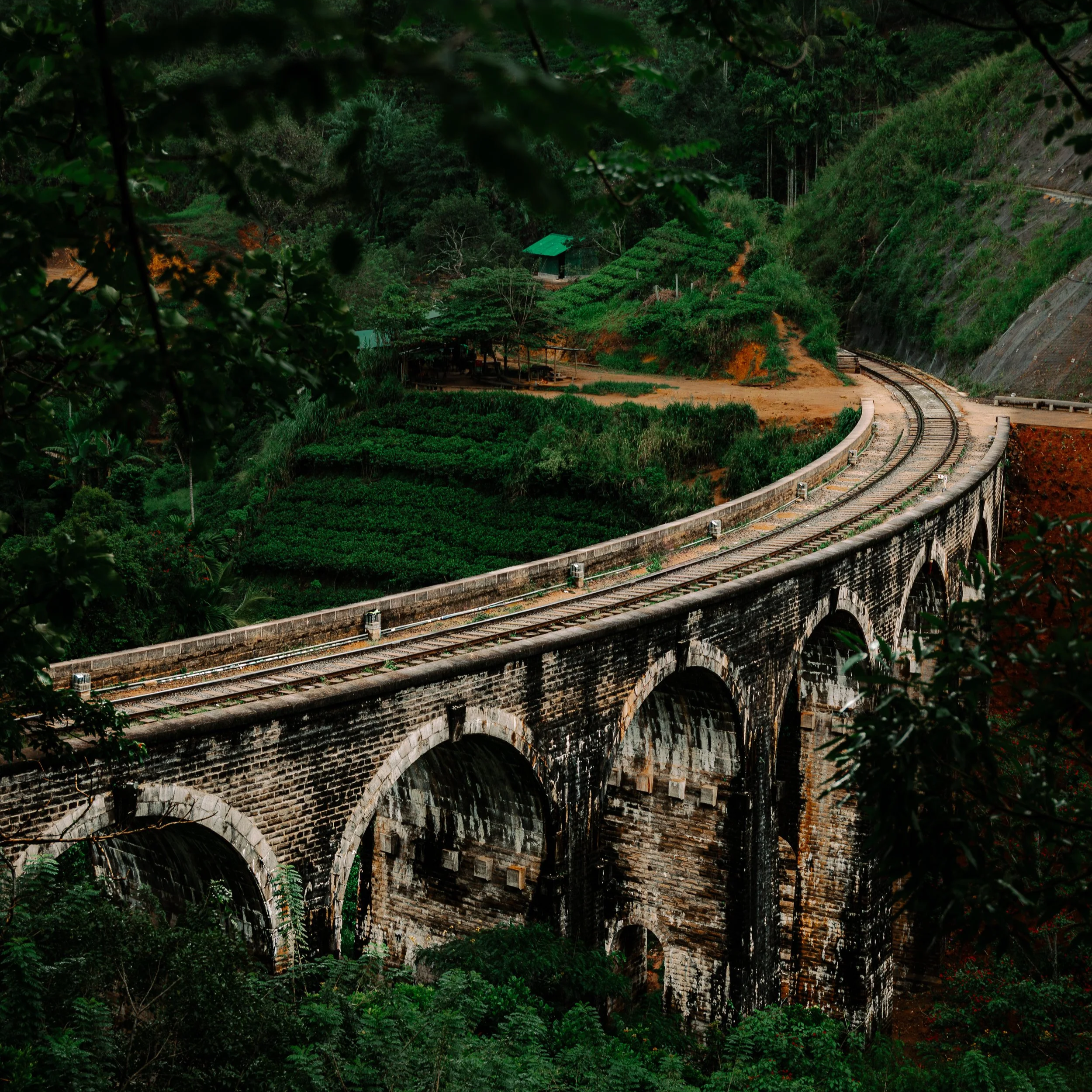 Landscape and Environment