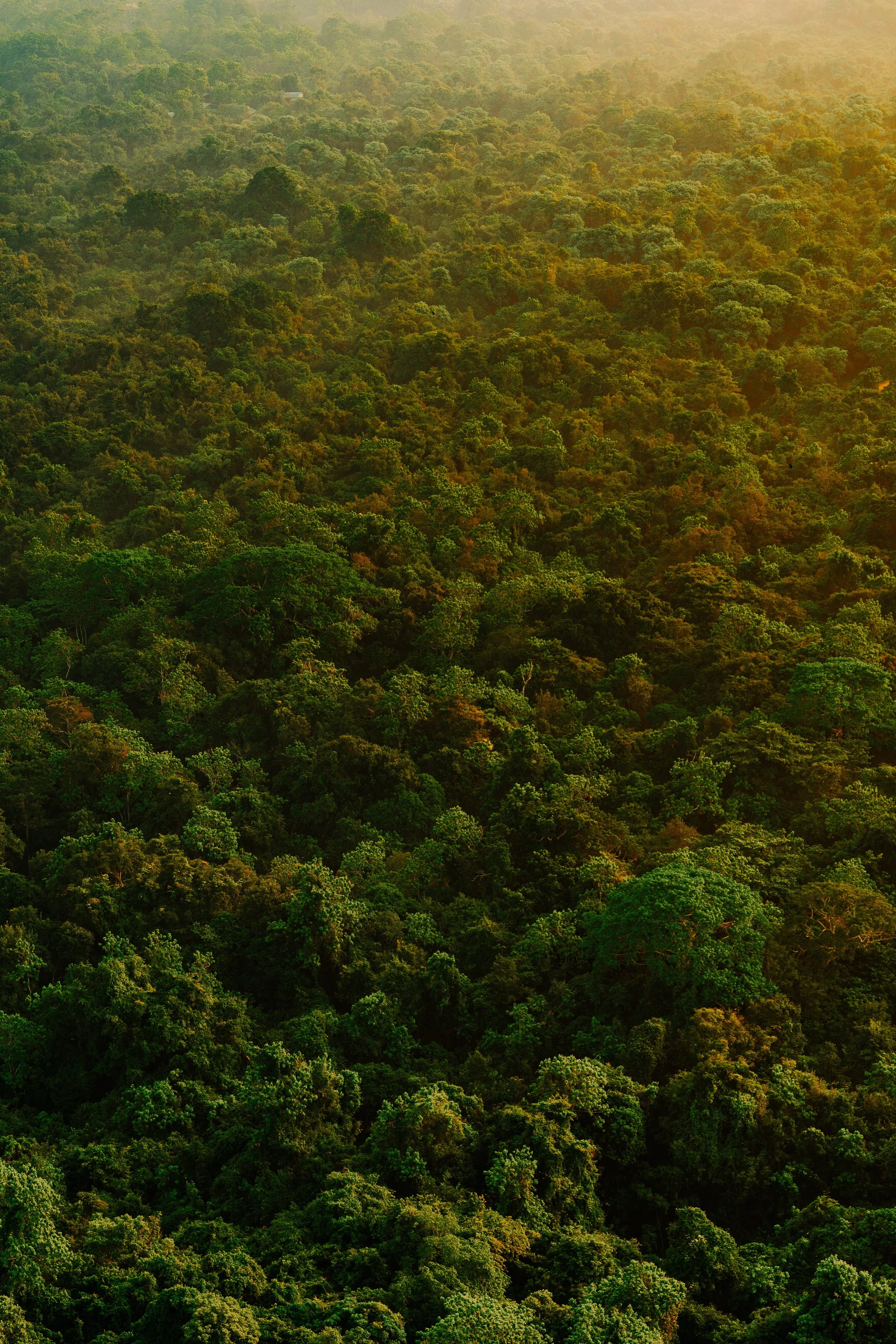 Environment & Architecture