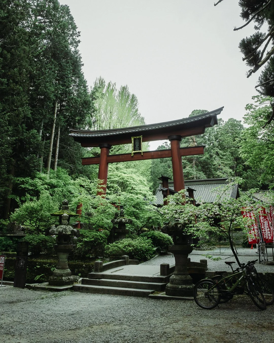 7P5A6562-Edit.jpg