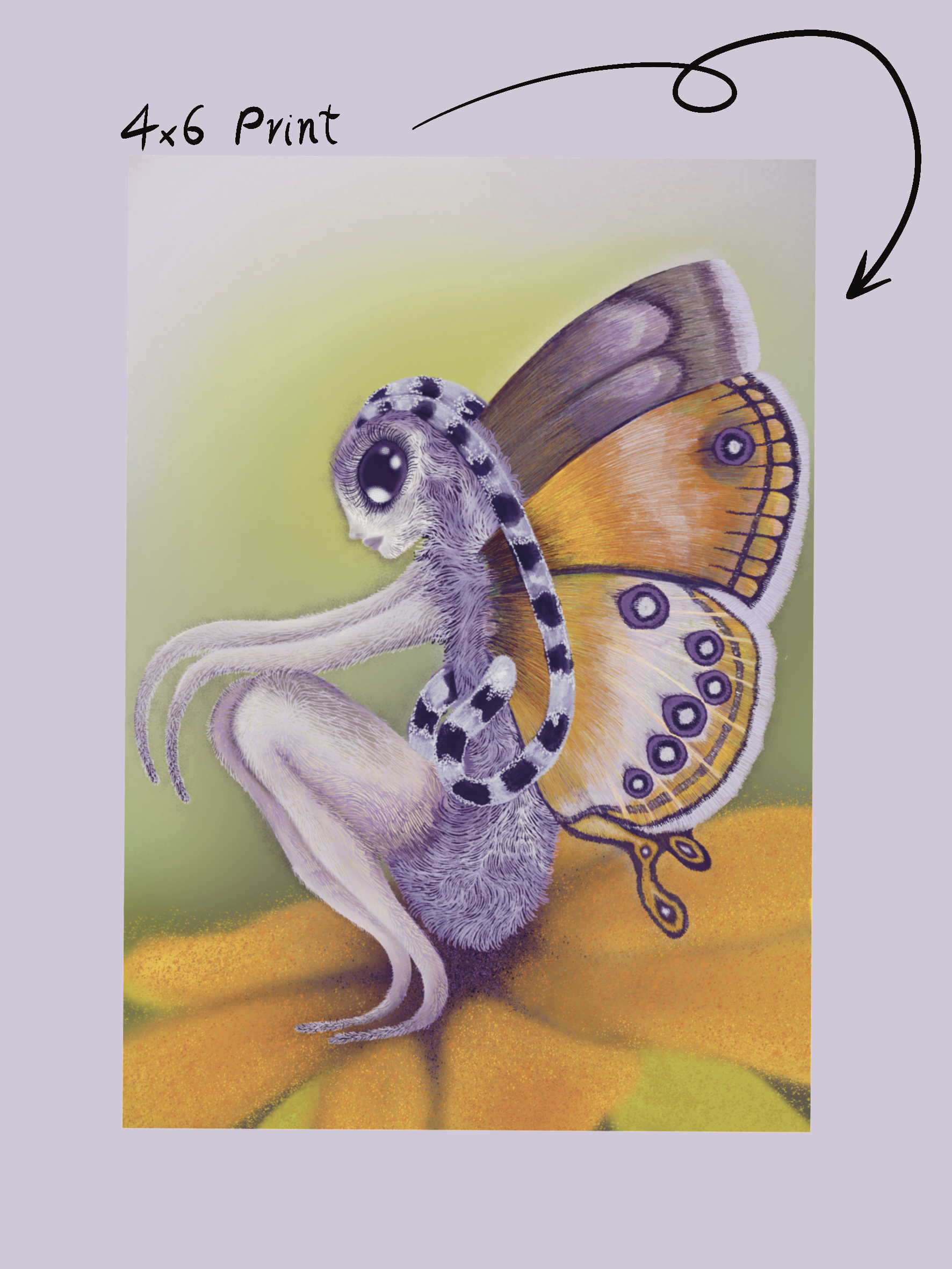 IMG_8125.png
