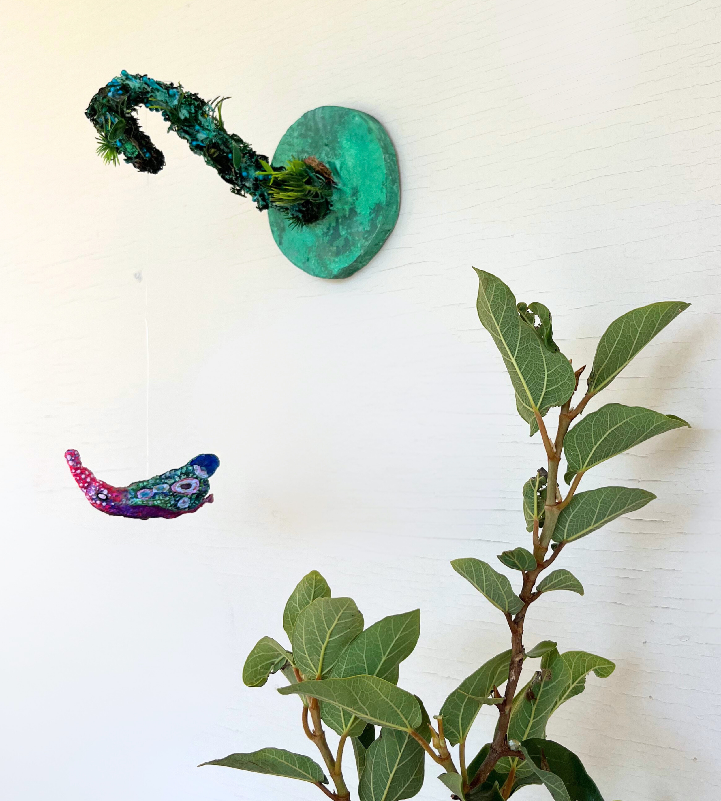 Creepy crawlies I