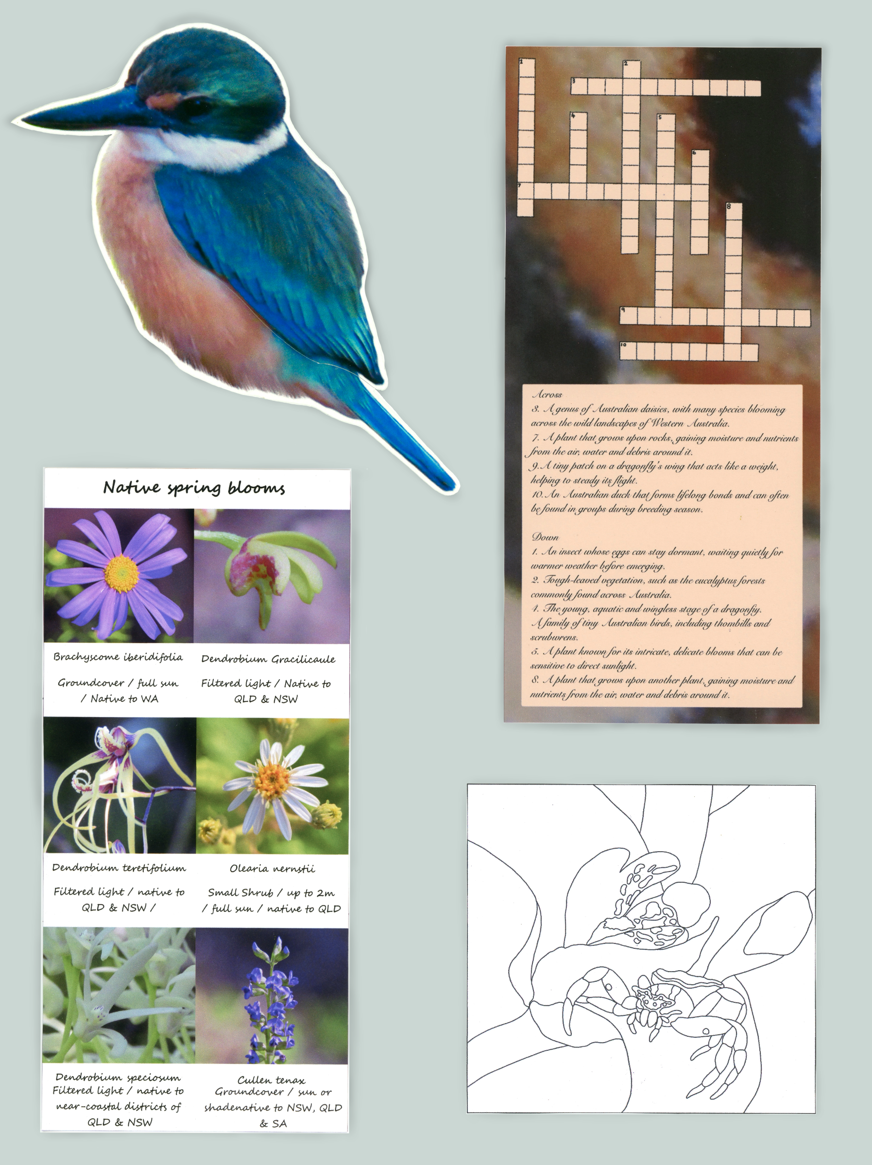 IMG_9851.png