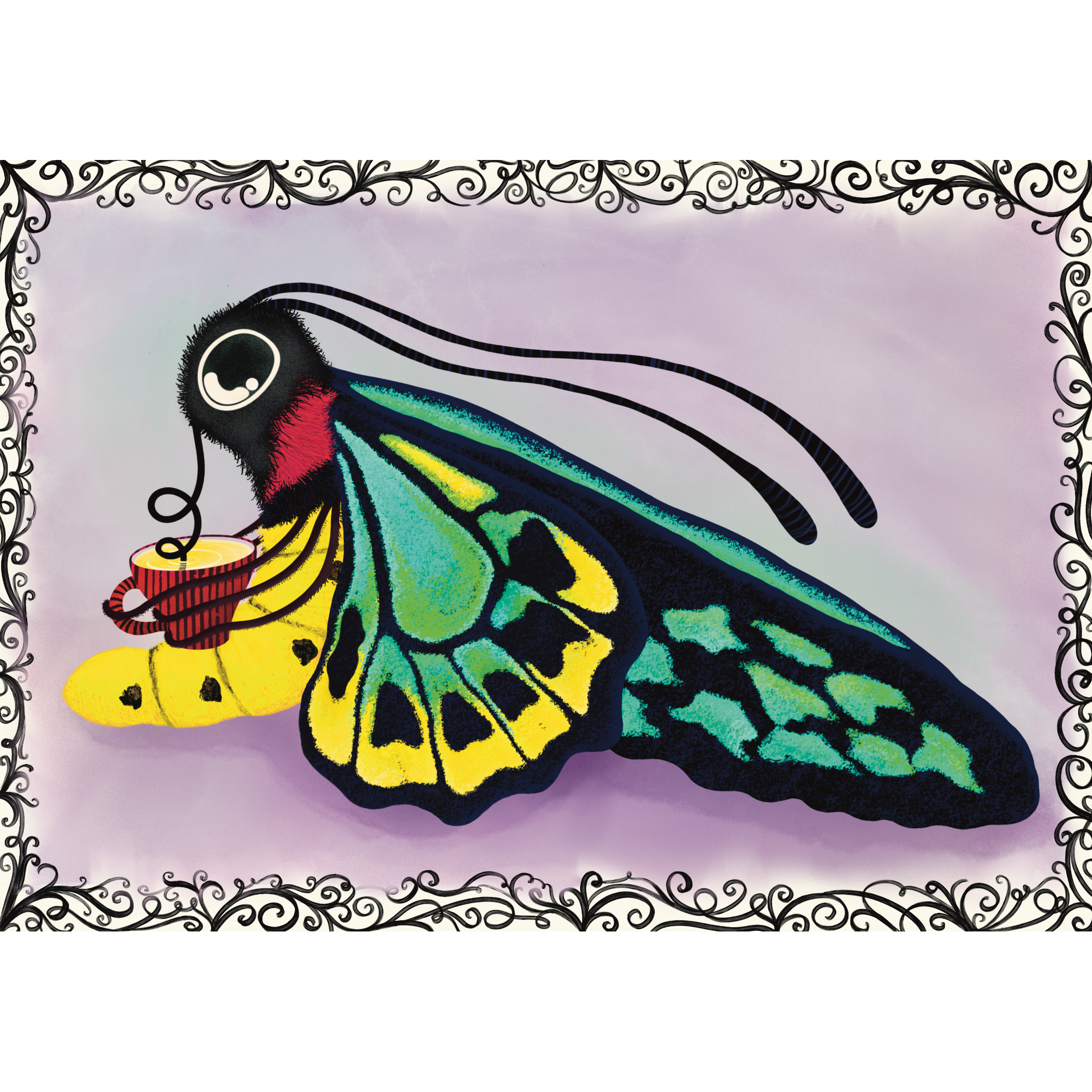 butterfly_NO_CROP_correct.png