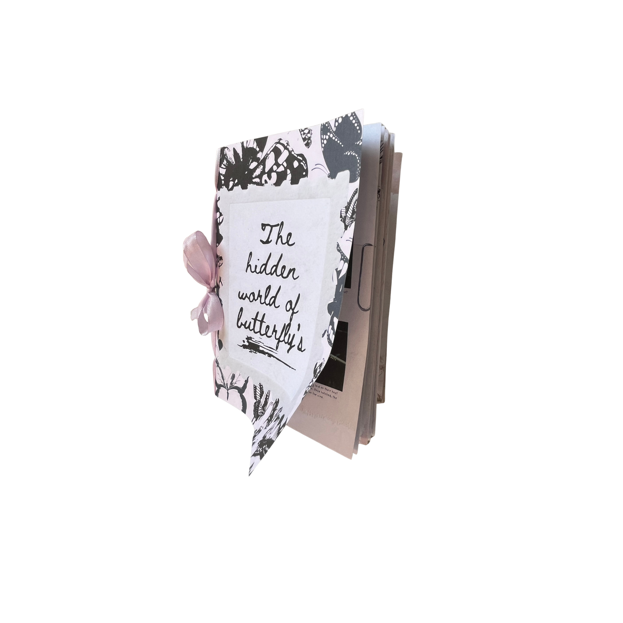 squarespace_product.png
