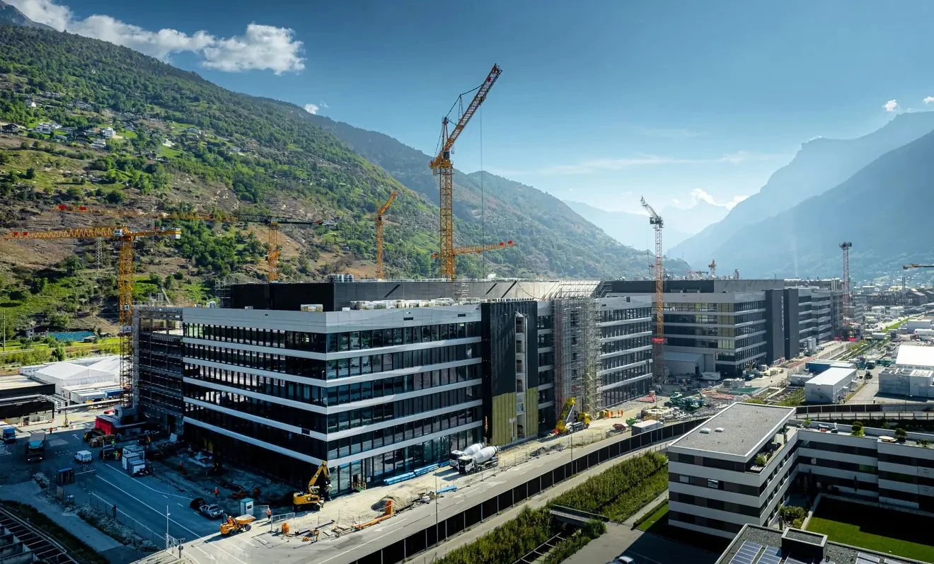 2. Life Sciences - Project Management Placement