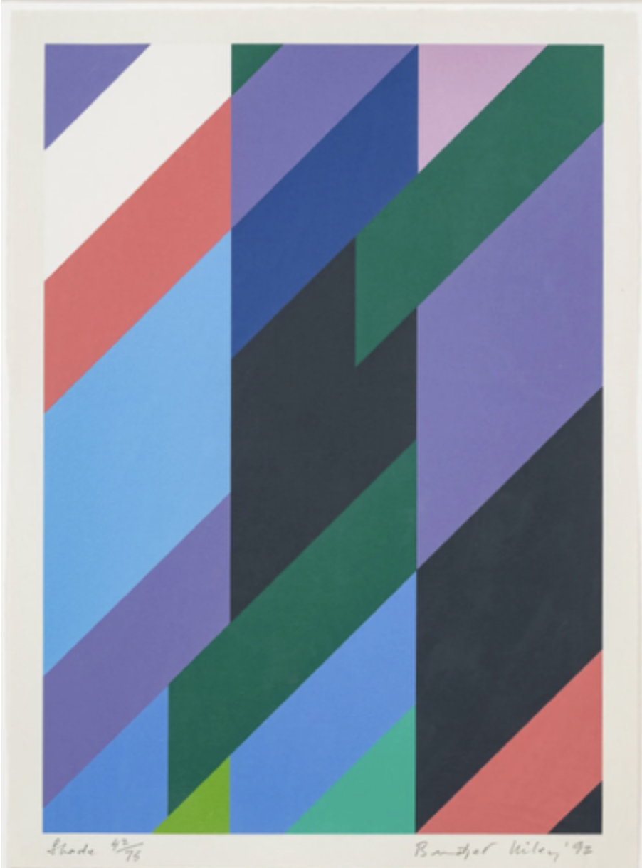 Shade | 1992, Screenprint in 12 colours on paper, Edition of 75 plus 10 AP’s, 53 x 38.8 cm  (sheet), NFS