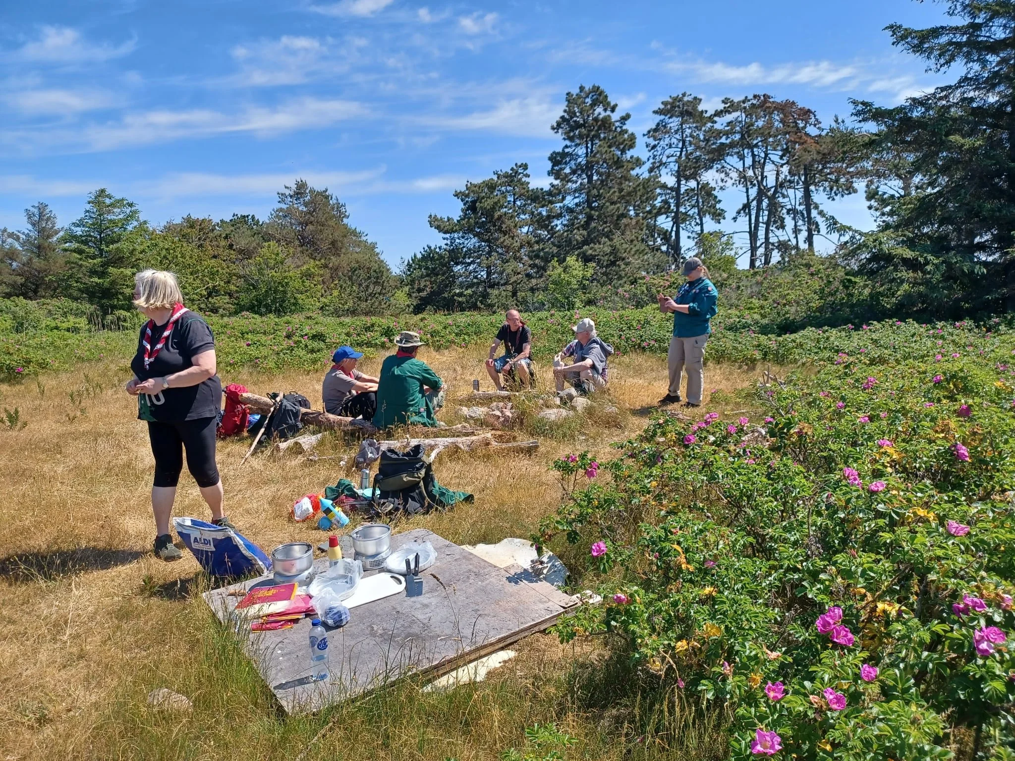 ead392b3-792f-4380-9083-f17624cbead4.jfif