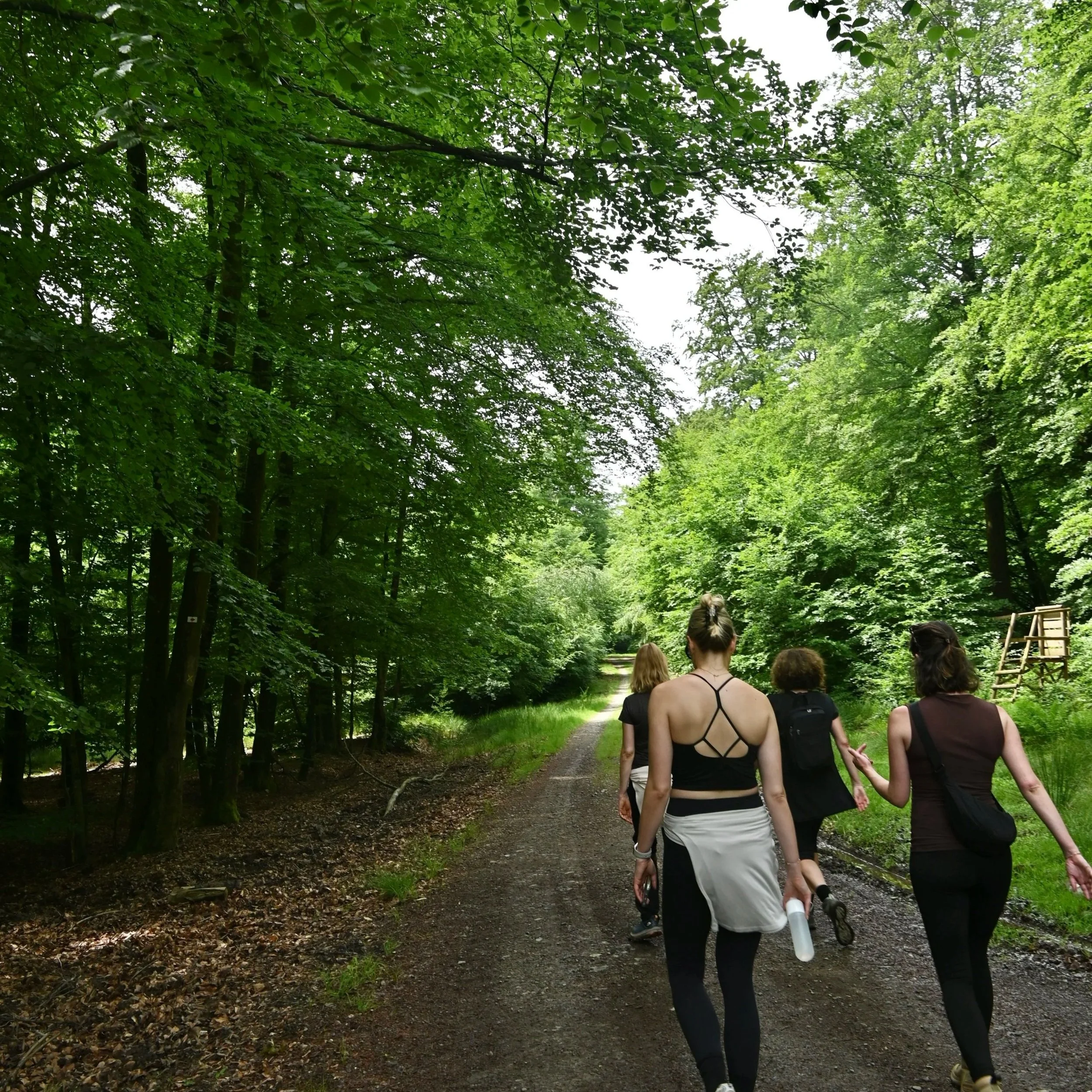 yoga and hike women retreat in the ardennen, belgium