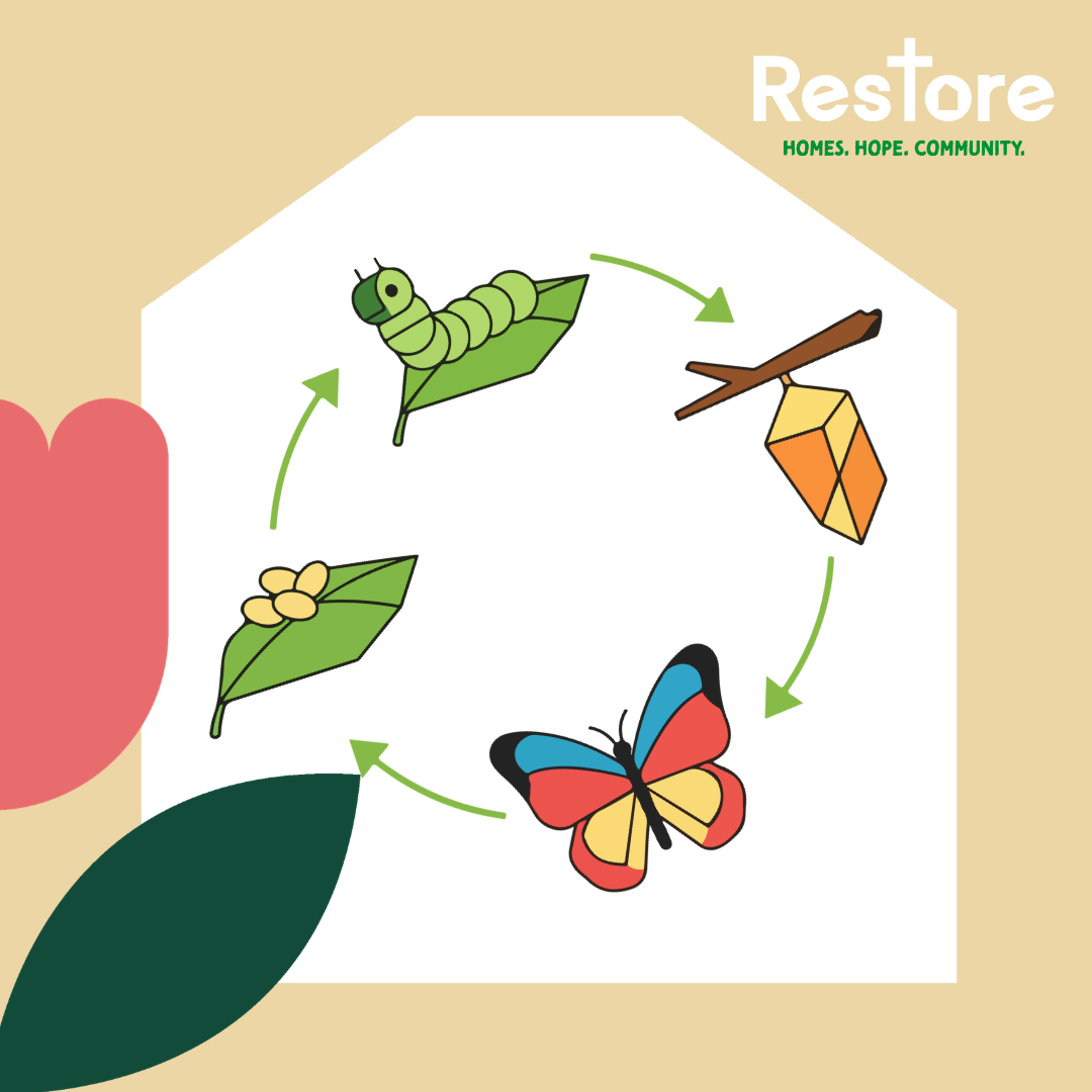 graphic showing the life cycle of a caterpillar