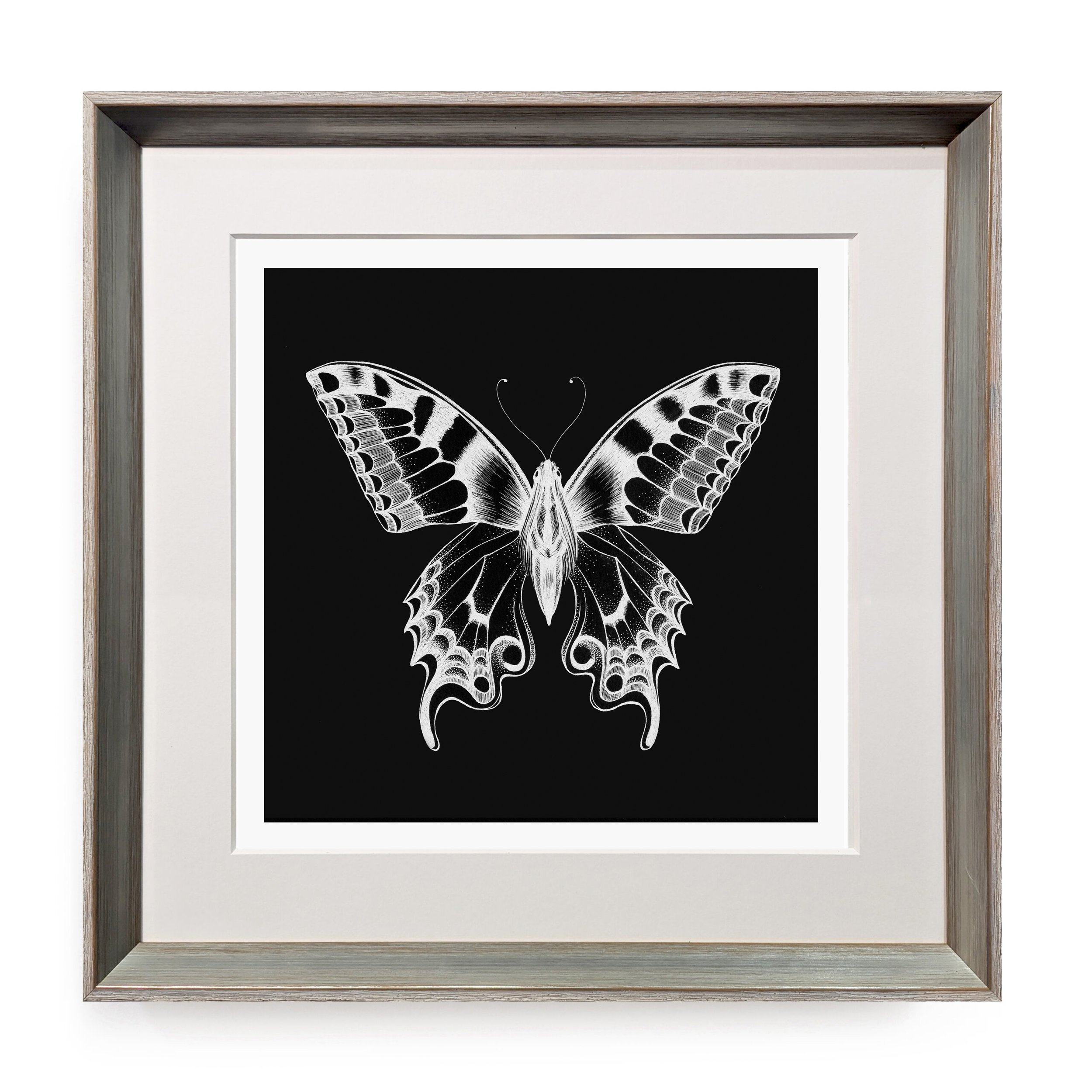 FRAMED_Papillon-Inverso.jpg