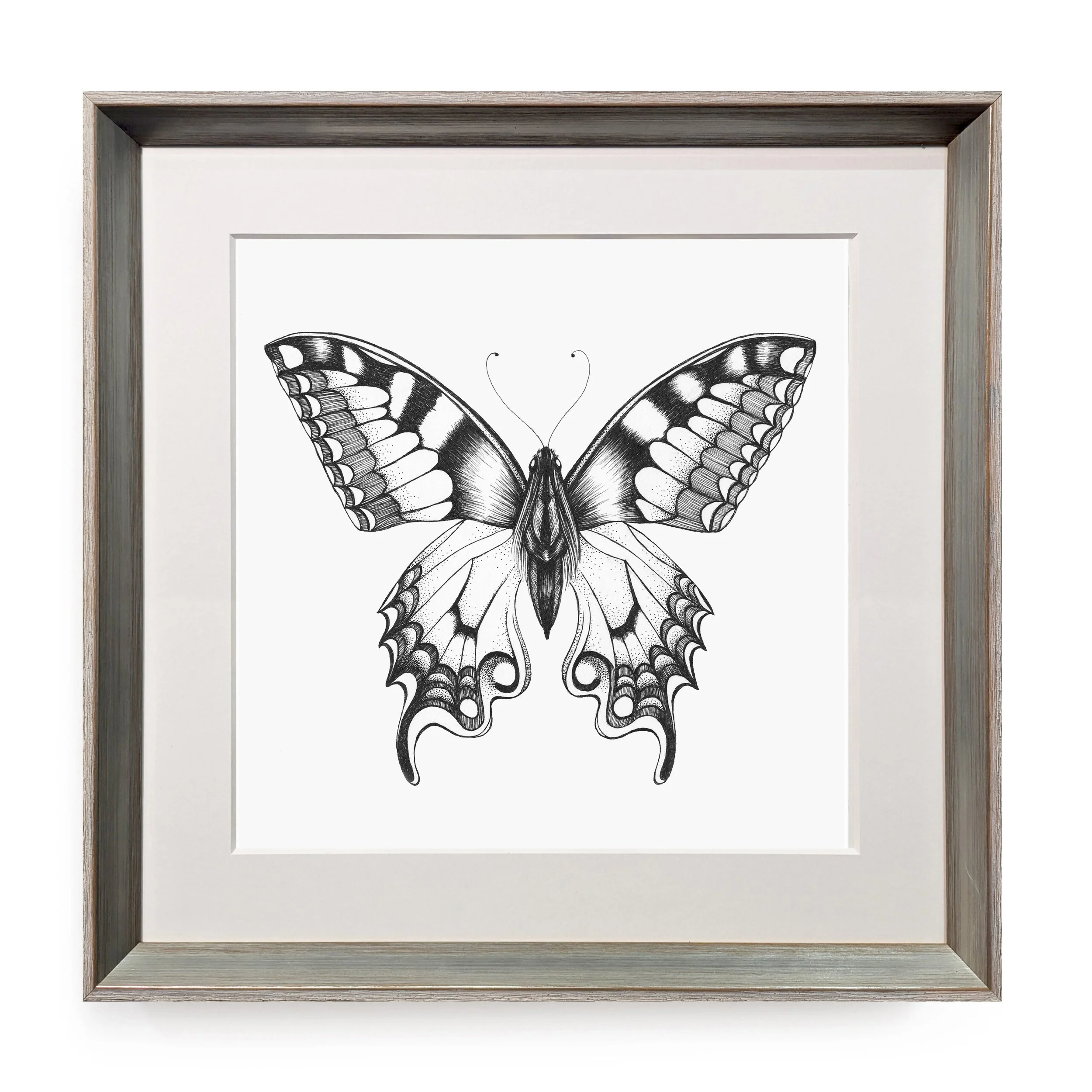 FRAMED_Papillon.jpg