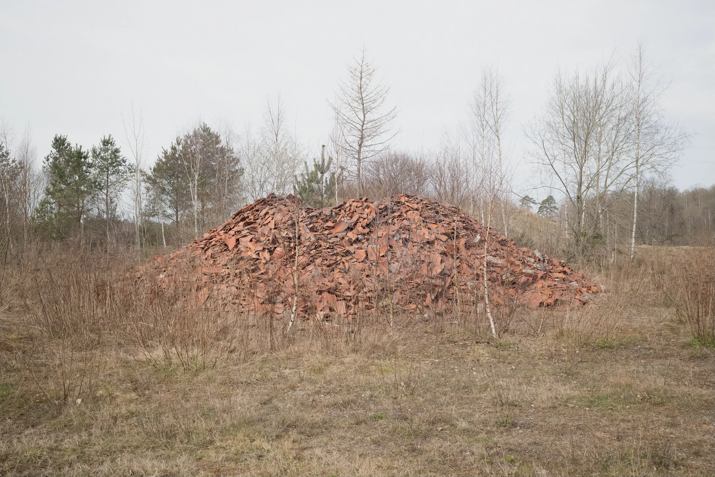 En del av  Sverige - Skåne-12.jpg