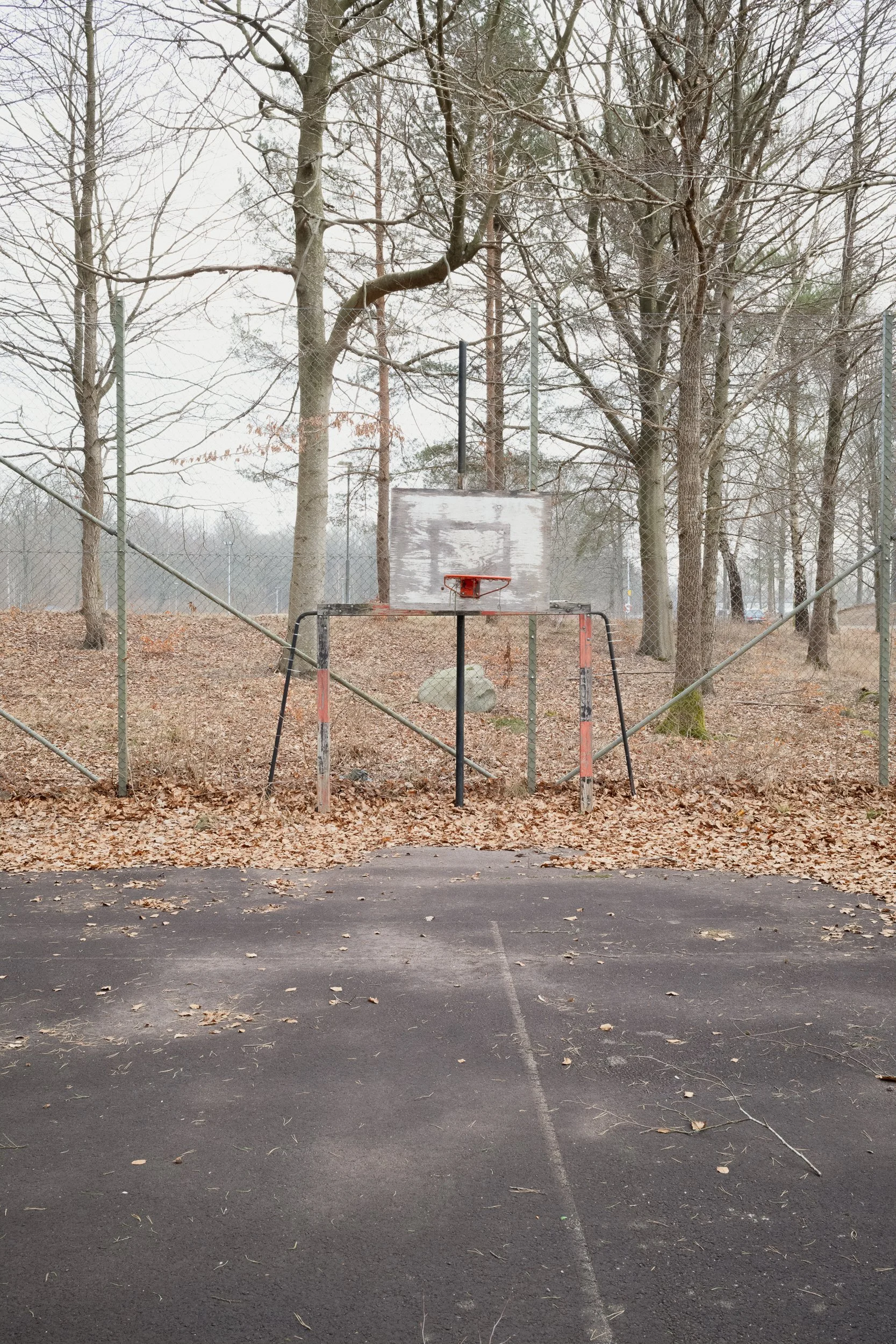 En del av  Sverige - Skåne-6.jpg