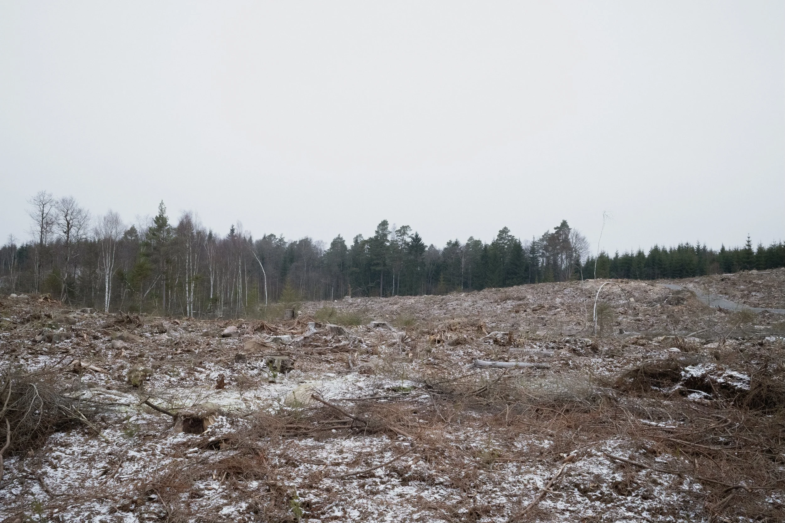 En del av  Sverige - Skåne-1.jpg