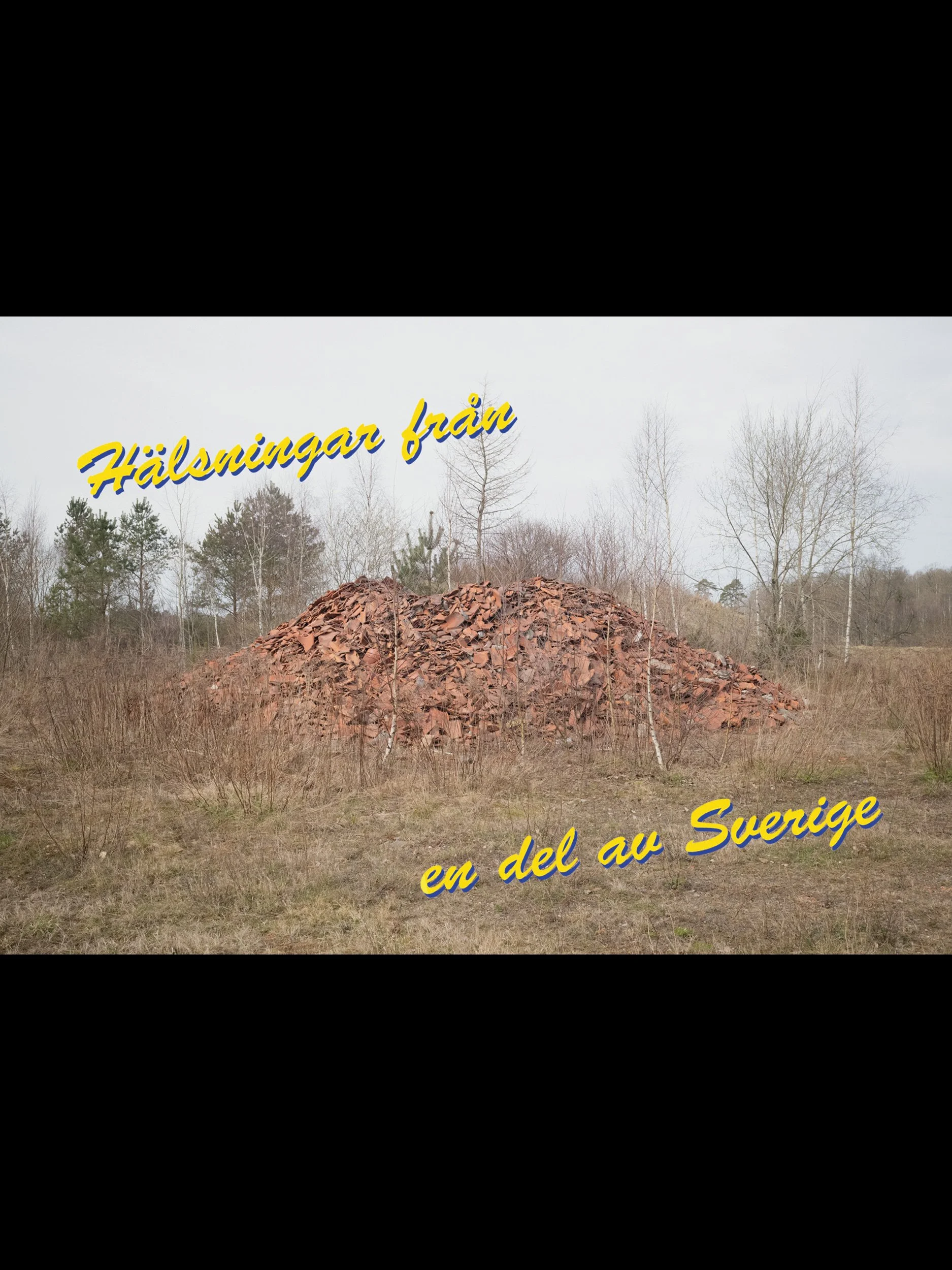 SKÄP.jpg