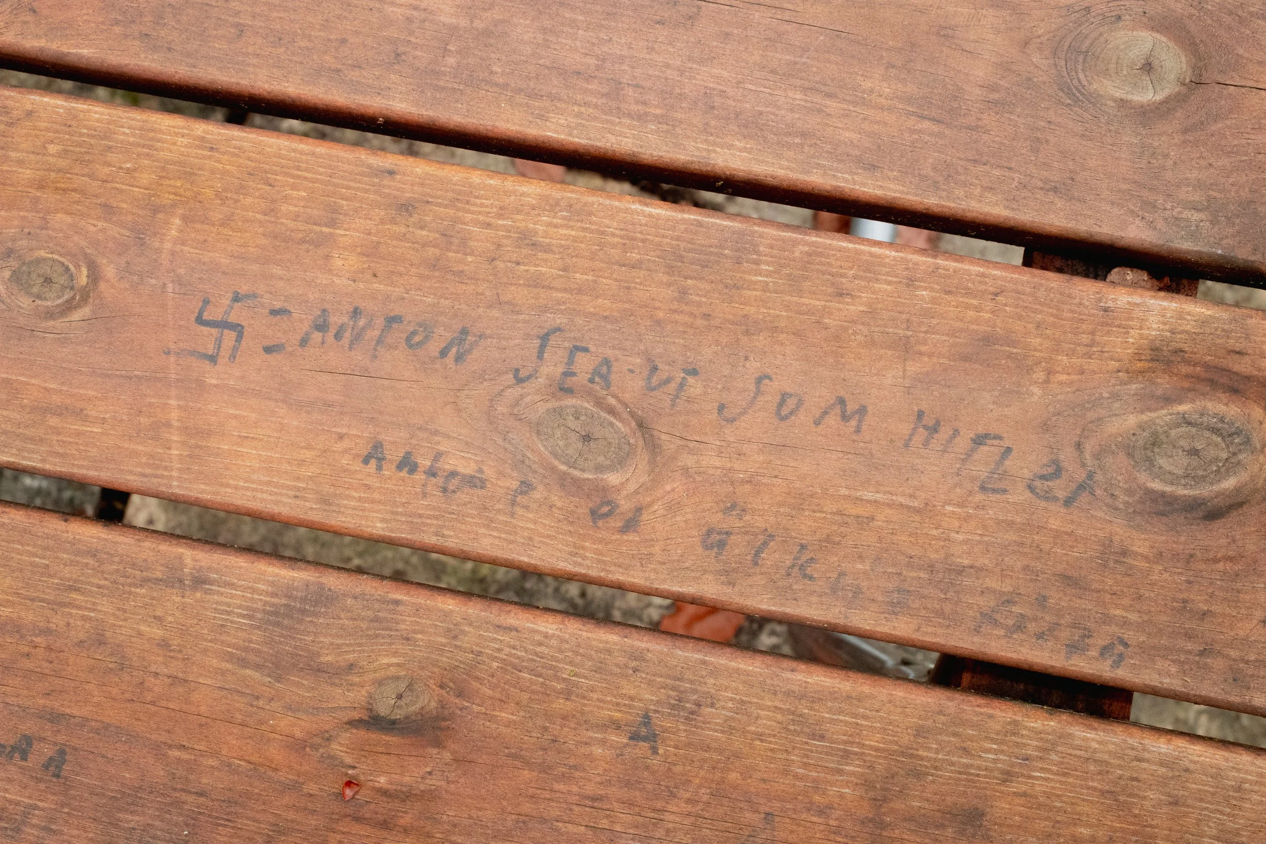 En del av  Sverige - Skåne-5.jpg