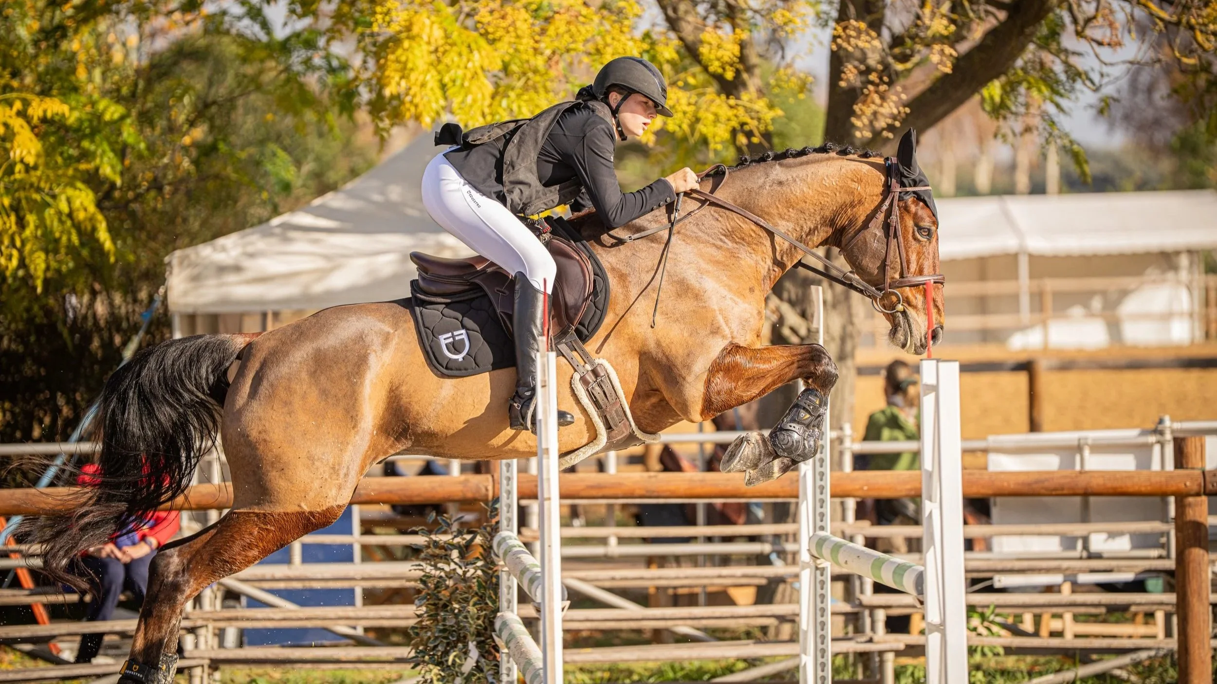 Un jeune cavalier en noir et blanc de la marque Equestro sur EponaStore sautant une barrière lors d'une compétition équestre en automne, avec des arbres aux feuilles colorées en arrière-plan. Concours complet, cso, CCE.