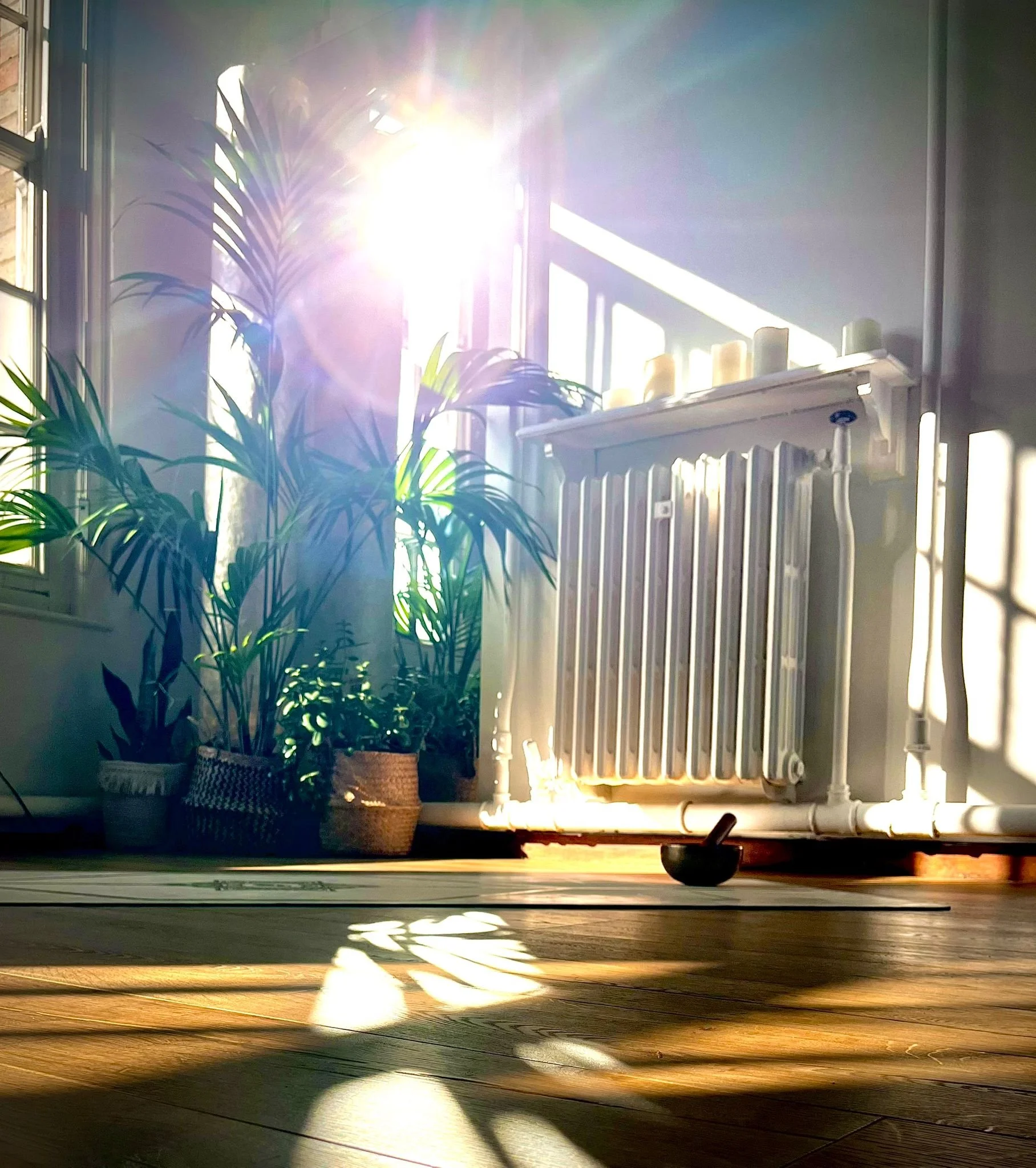 WhatsApp Image 2025-10-14 at 19.51.33.jpeg