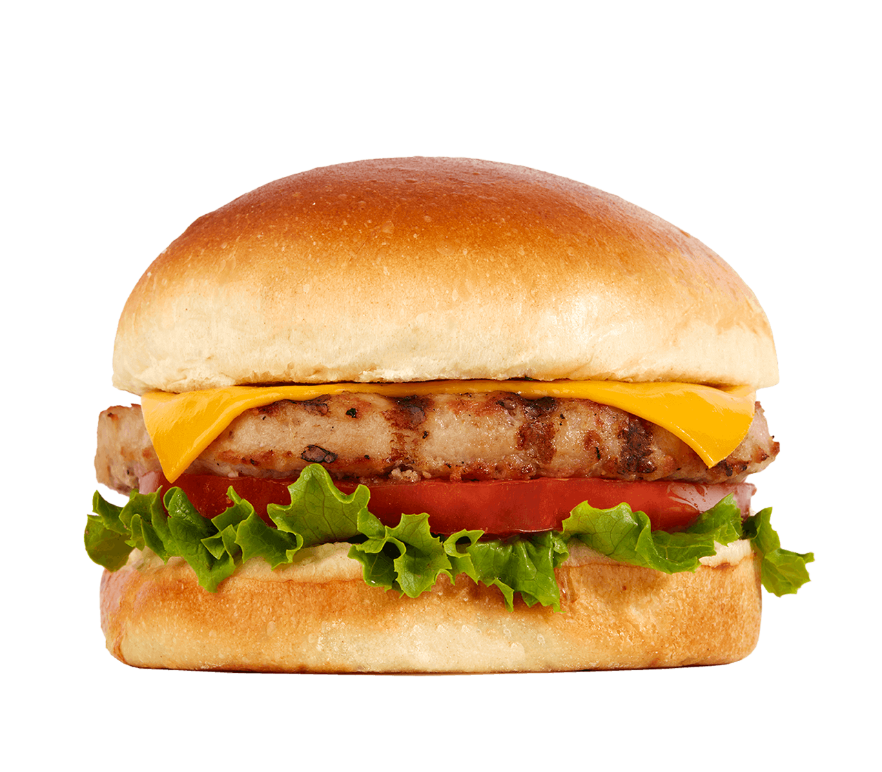 Turkey Burger
