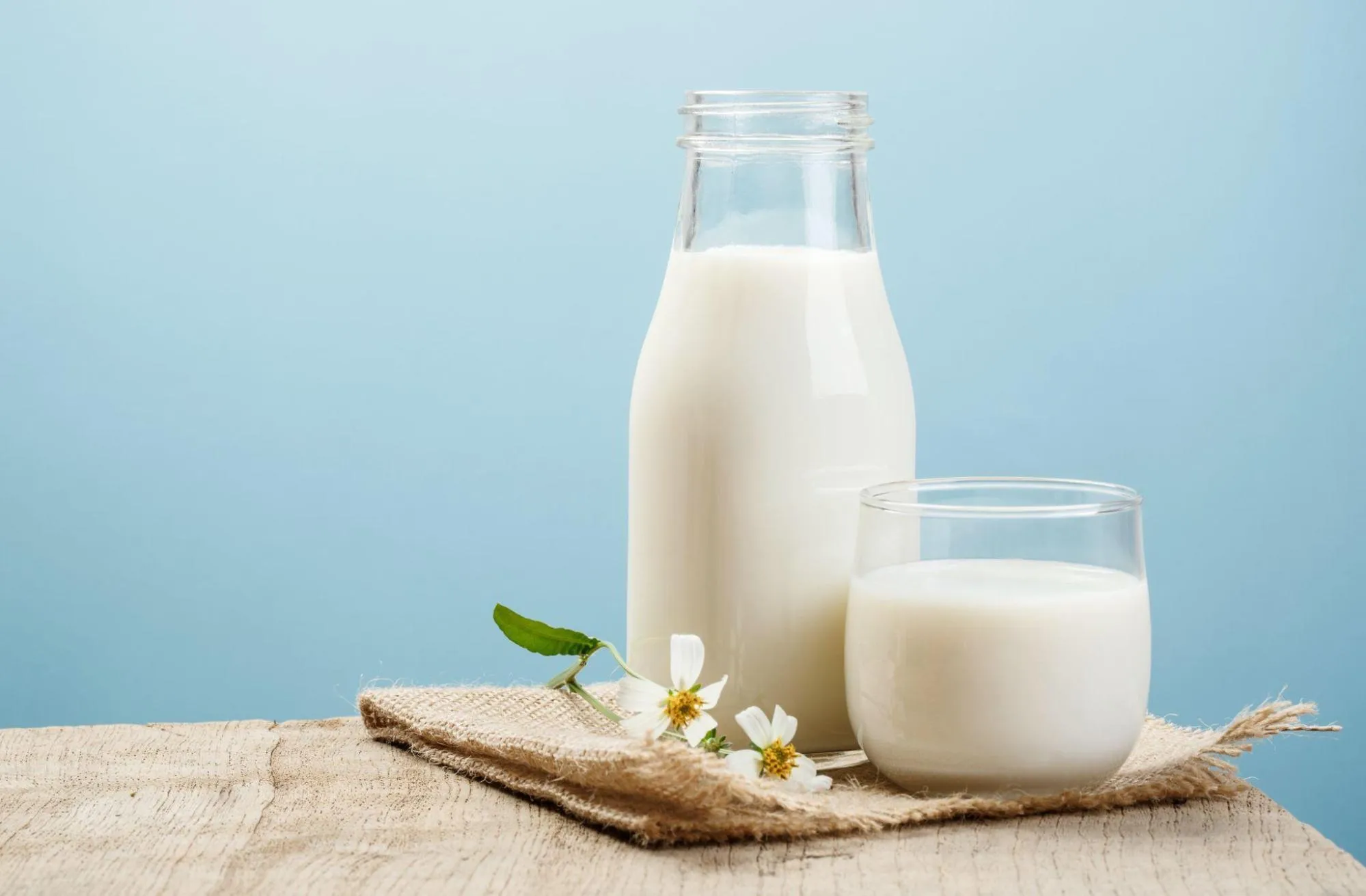 Low Fat Milk