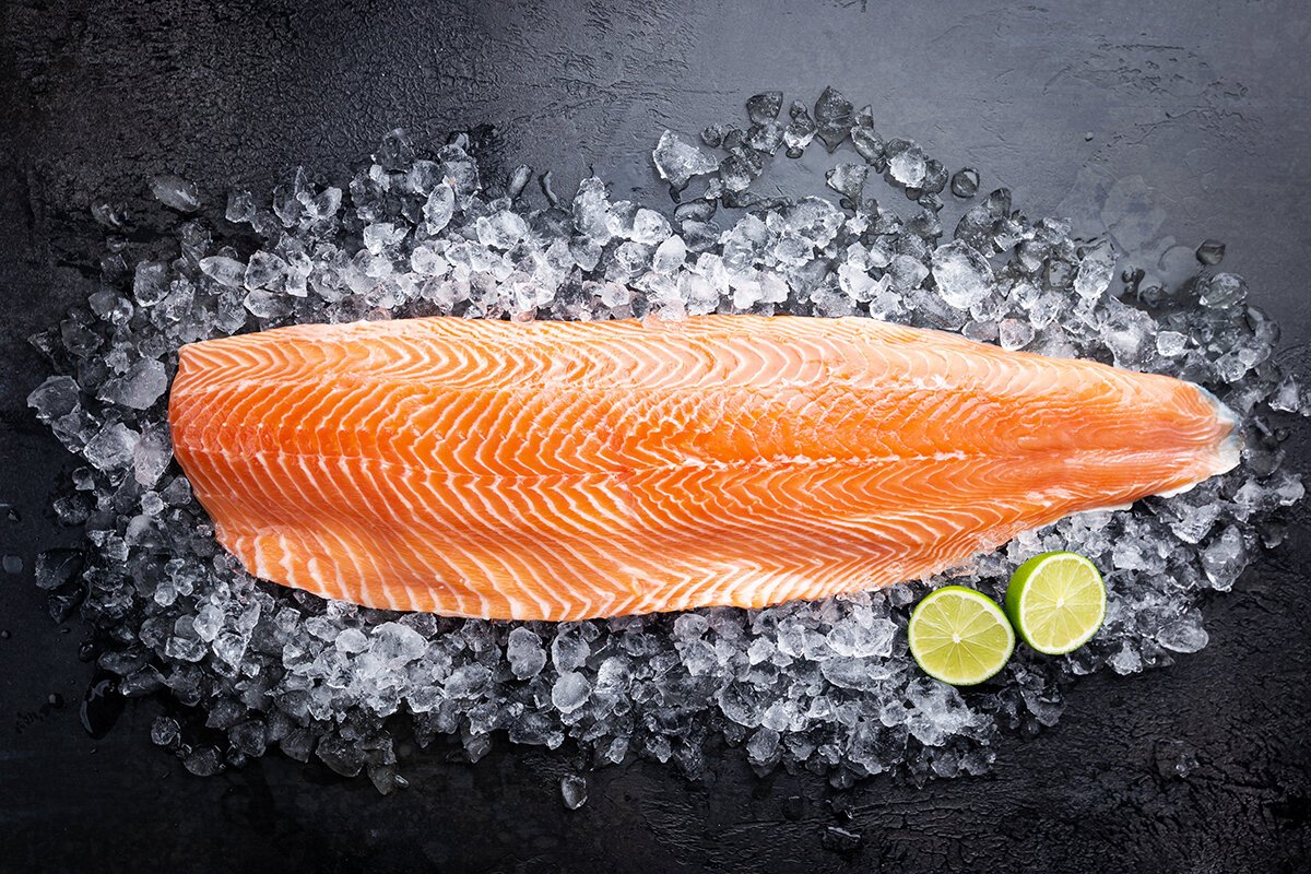 Fresh Salmon filet