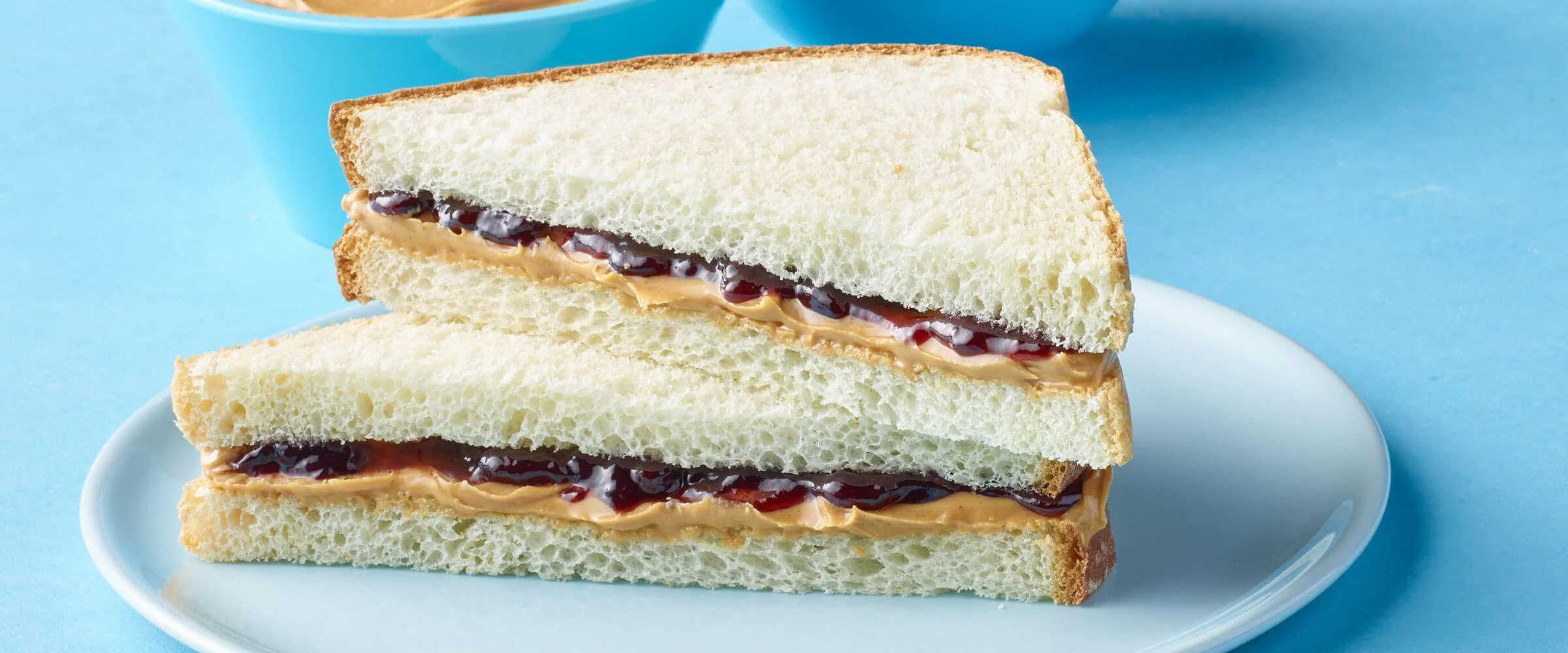 Peanut Butter & Jelly Sandwich