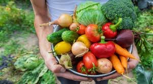 Seasonal vegetable