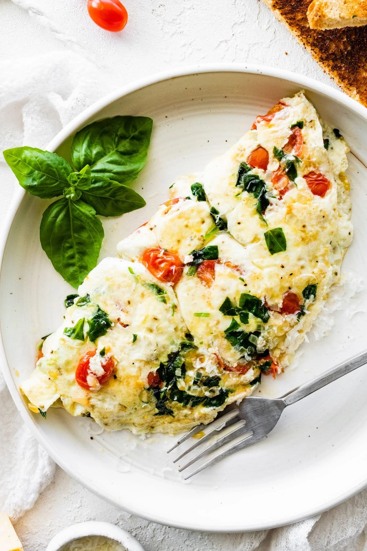 Egg white vegetable omelet
