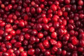 Cranberry Juice