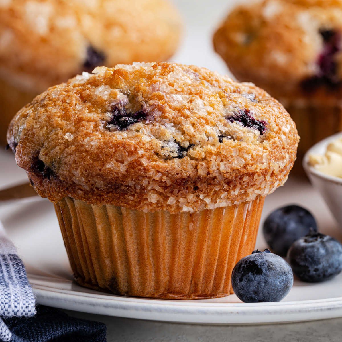 Blueberry muffin