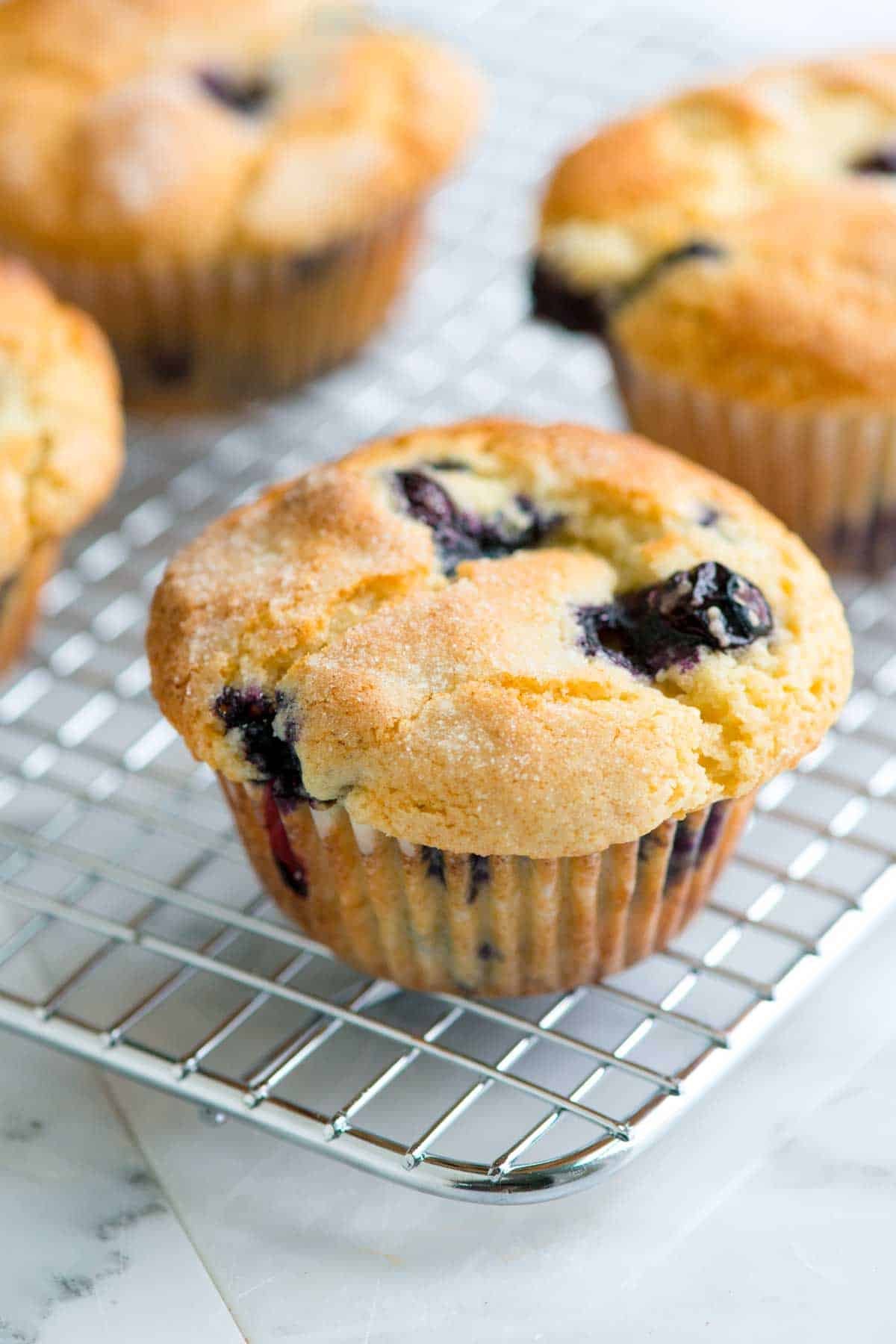 Blueberry muffin