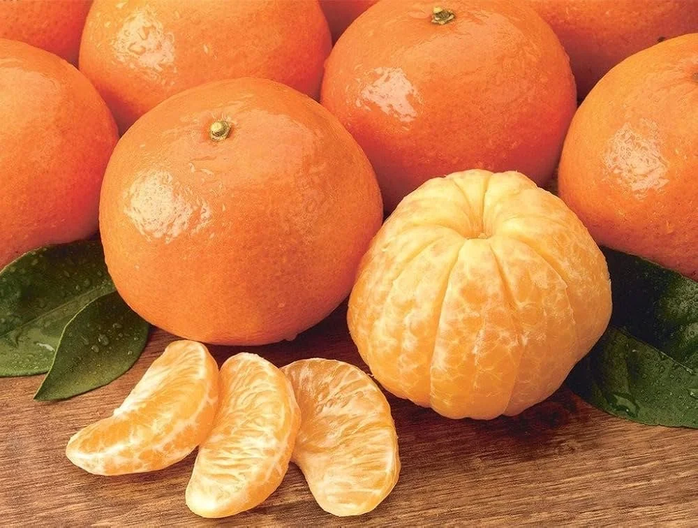 Orange Tangerine