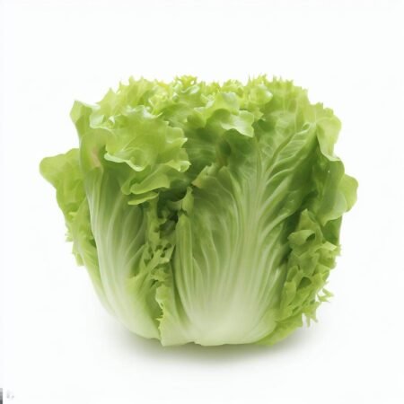 Lettuce