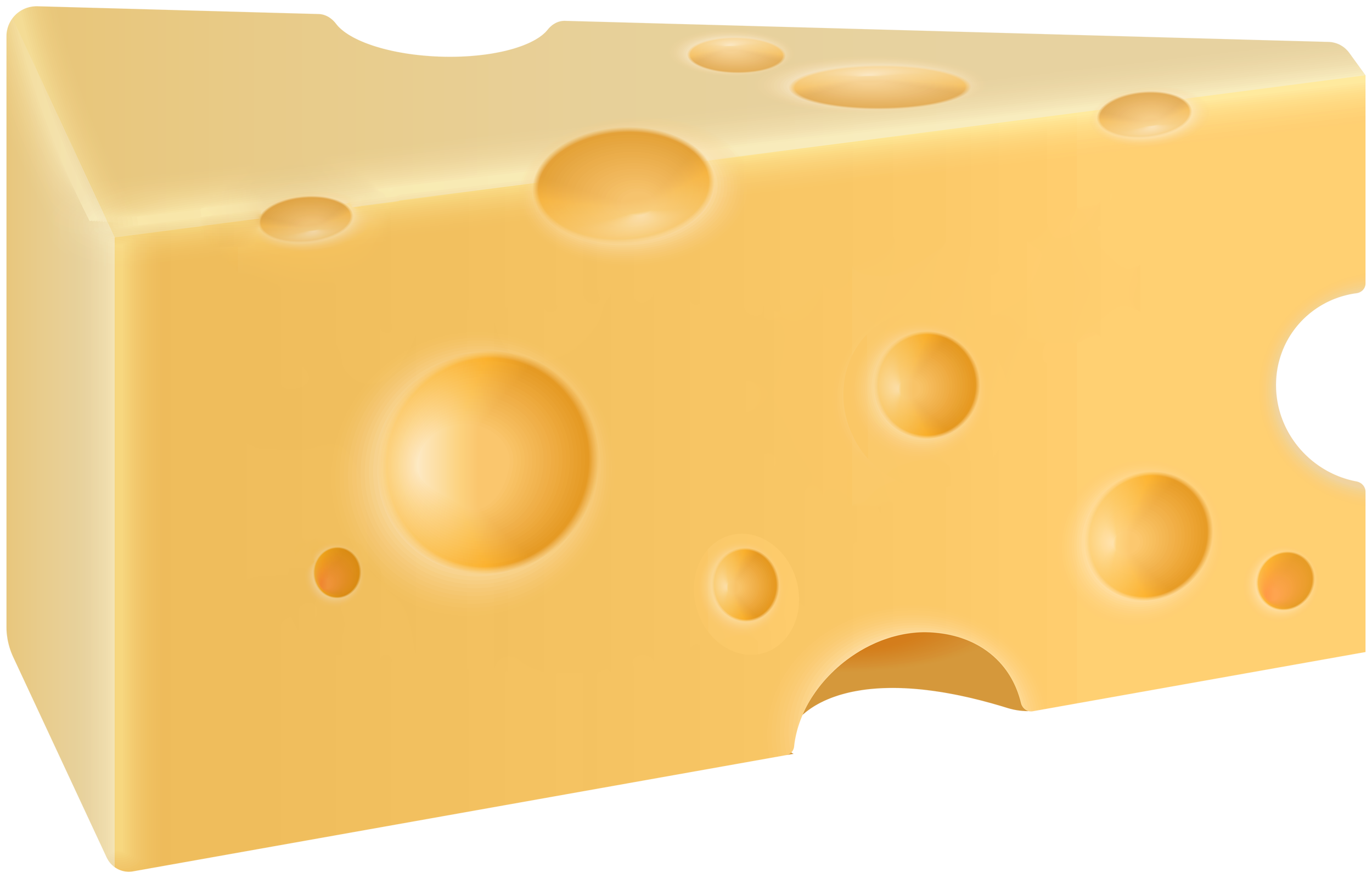 Swiss cheese slice