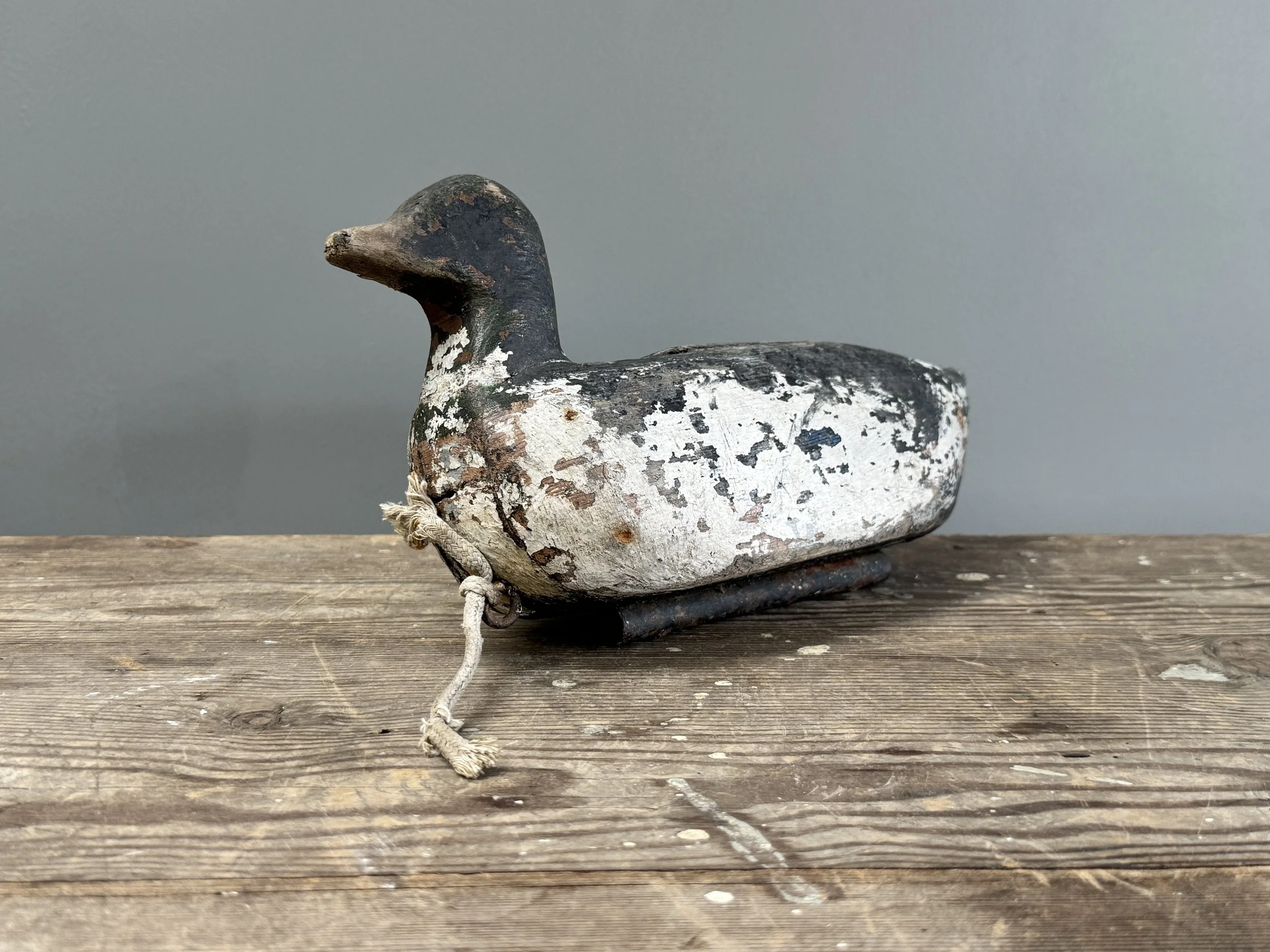Vintage Wooden Decoy Coot