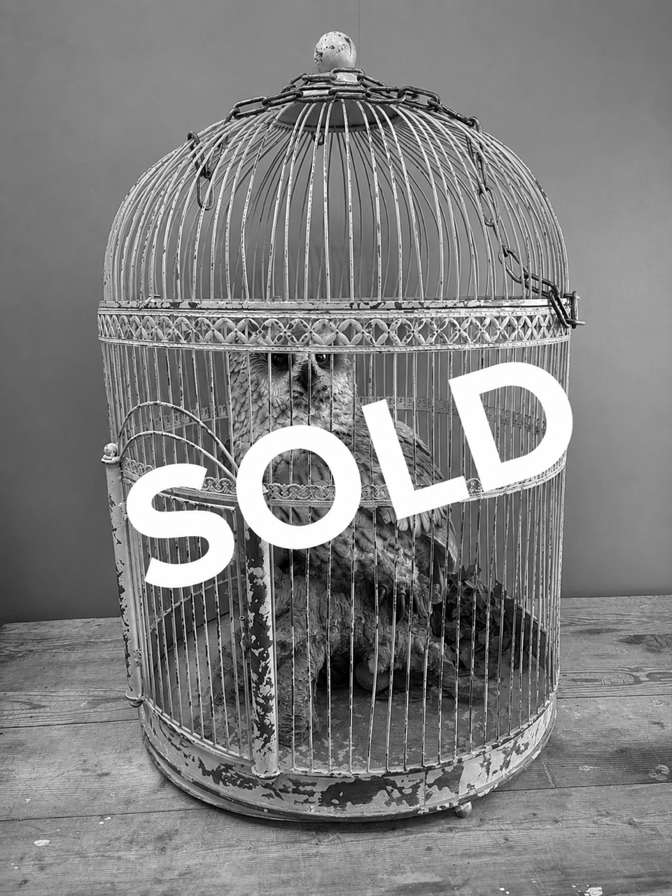 Large Resin Owl in Distressed Metal Dome Cage 