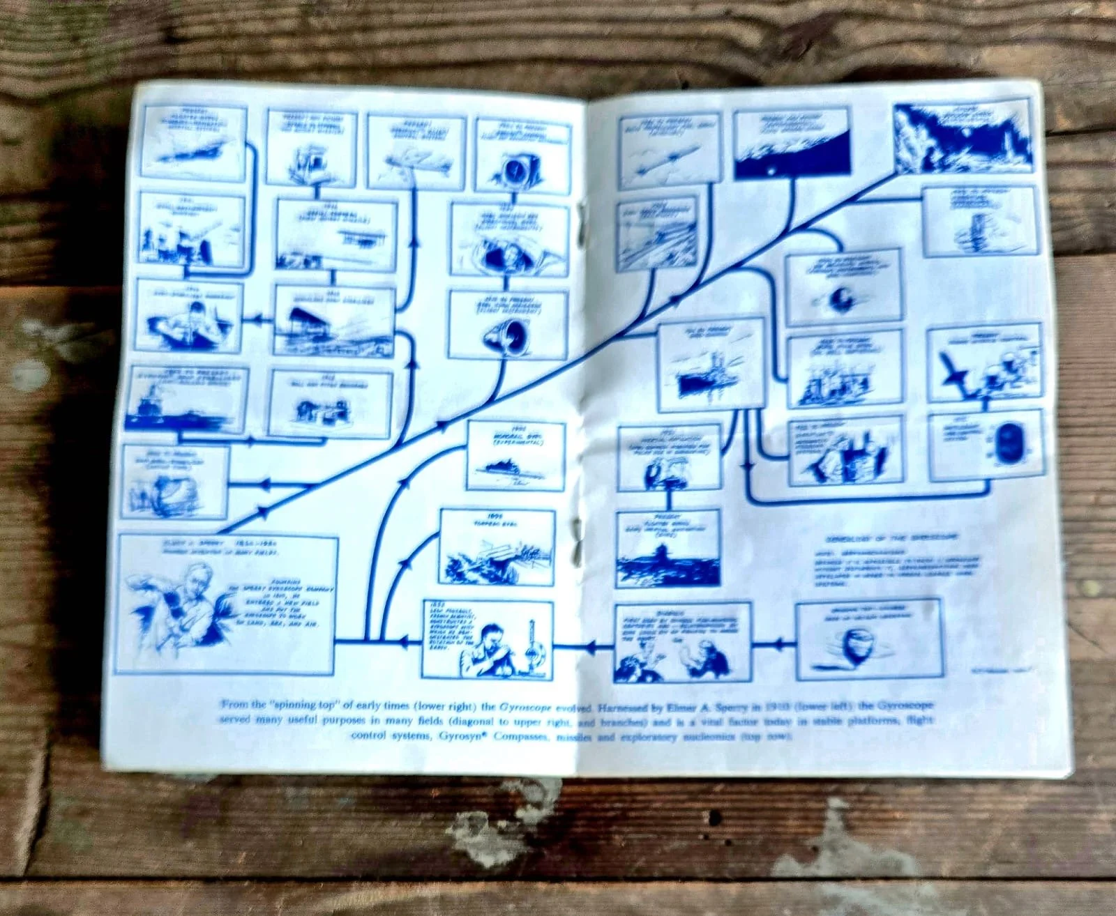 image17.jpeg